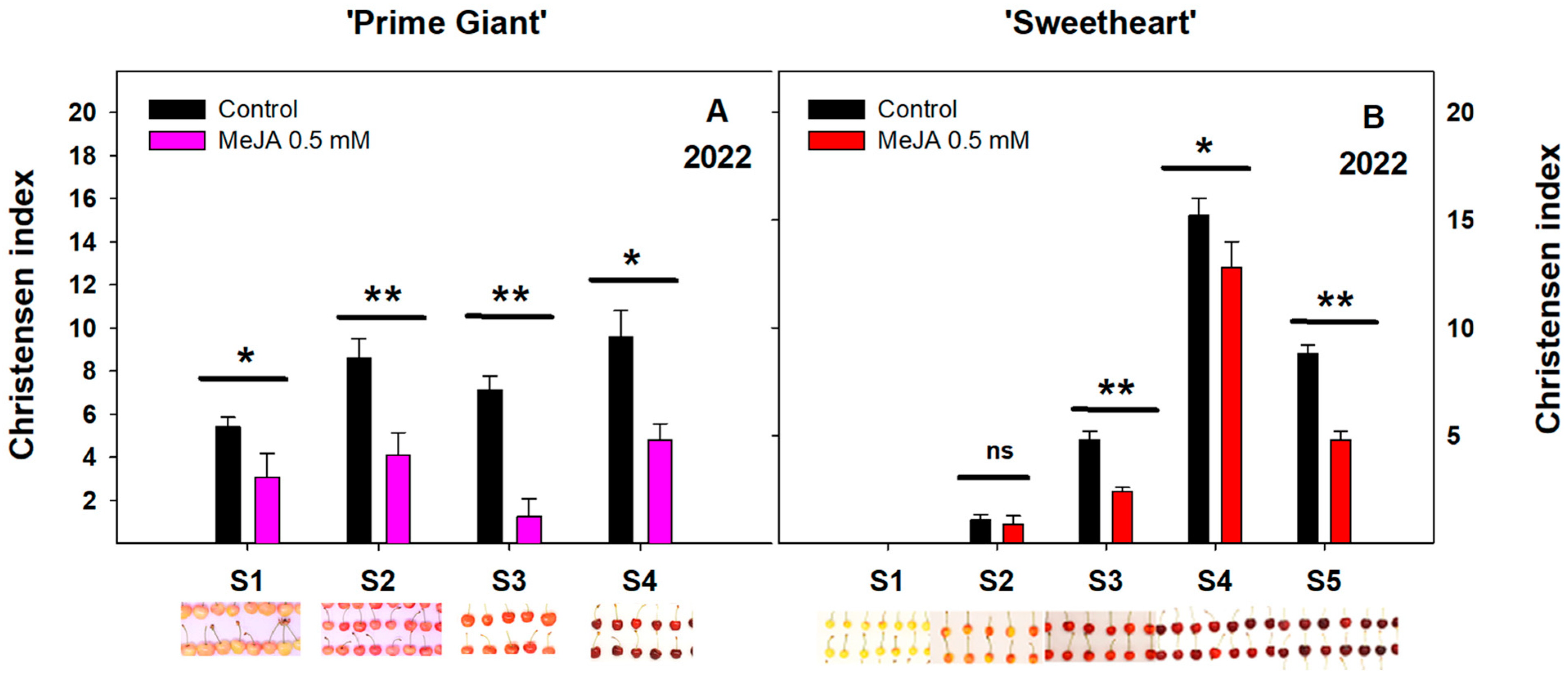 Agriculture 13 01244 g003