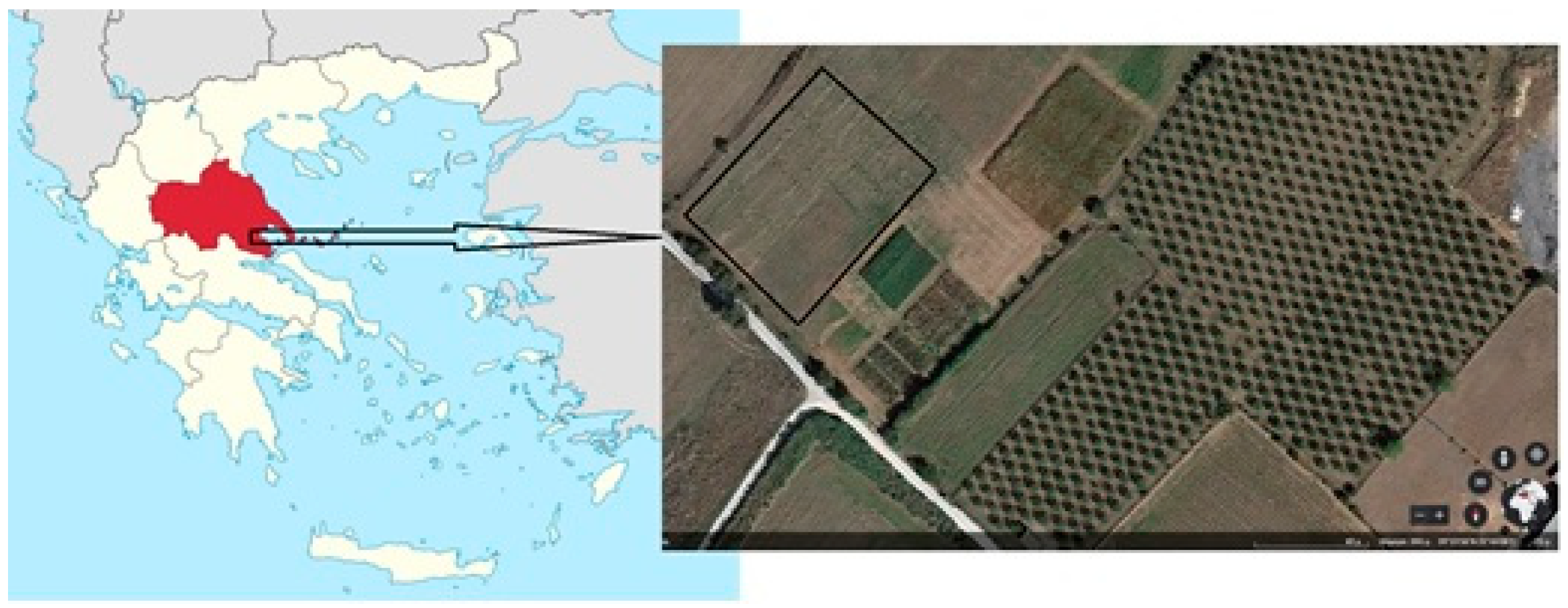 Agriculture 13 01253 g001