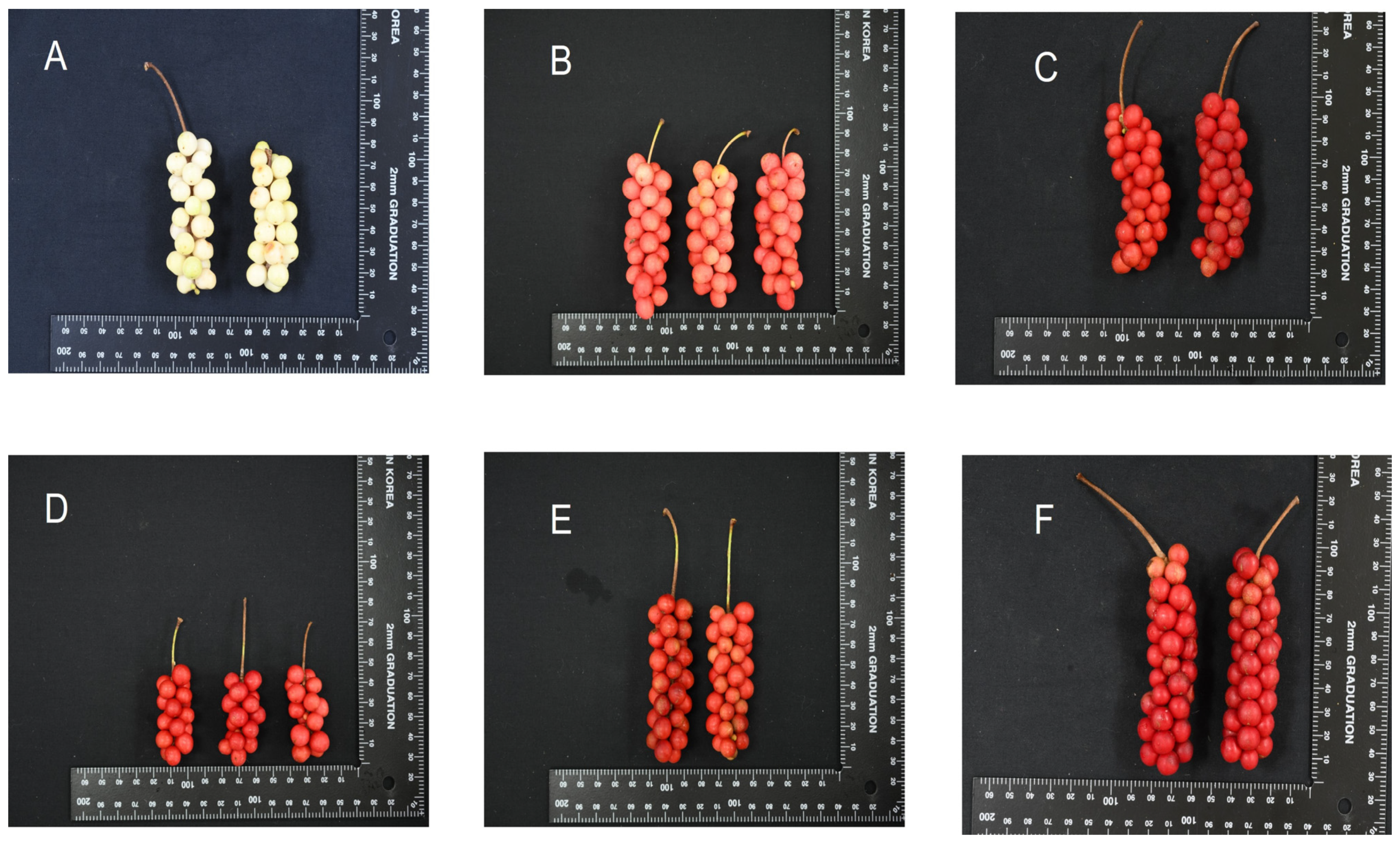Agriculture 13 01256 g003