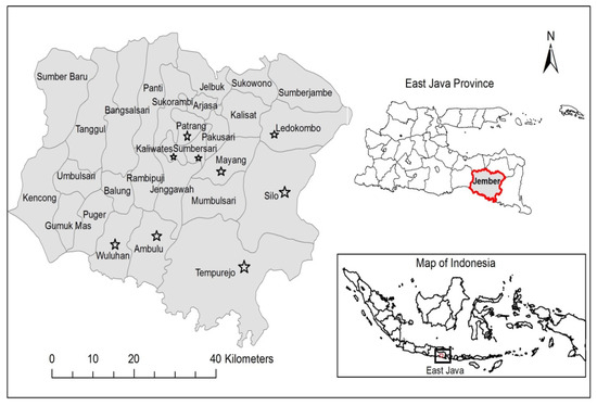 The Impact of Government Food Policy on Farm Efficiency of Beneficiary ...