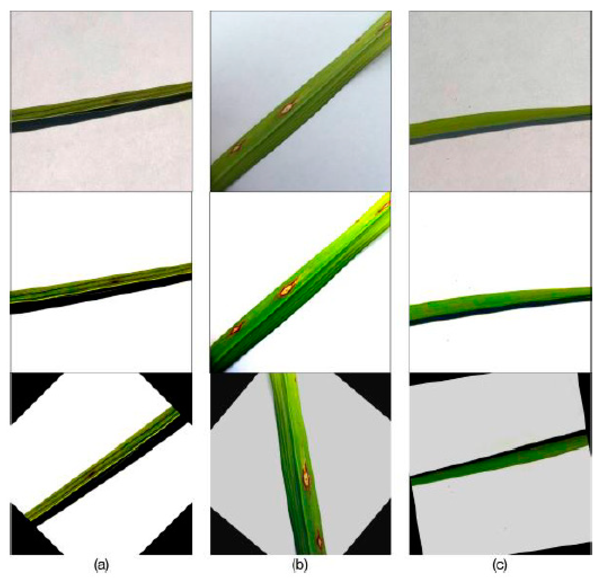 Agriculture 13 01264 g005 Agriculture 13 01264 g005