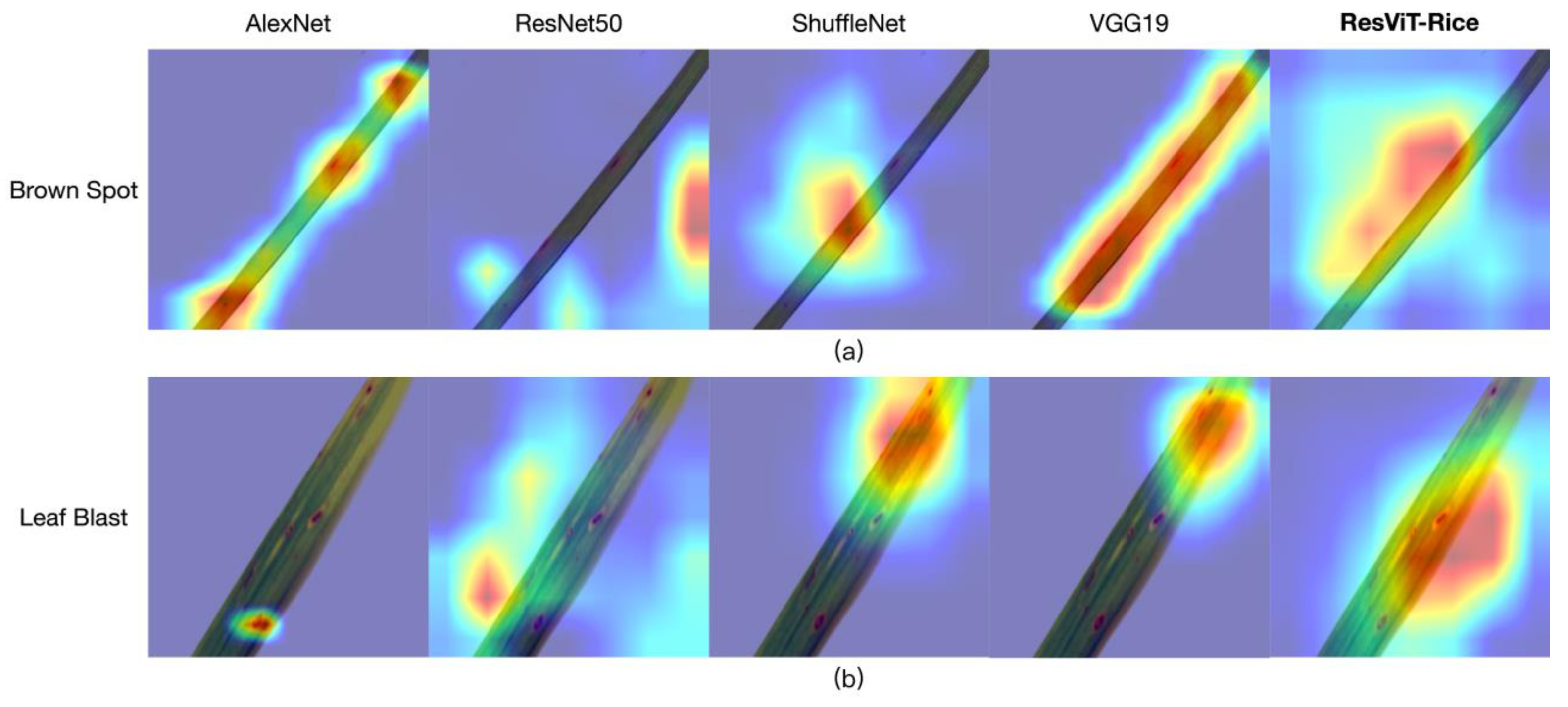 Agriculture 13 01264 g008 Agriculture 13 01264 g008