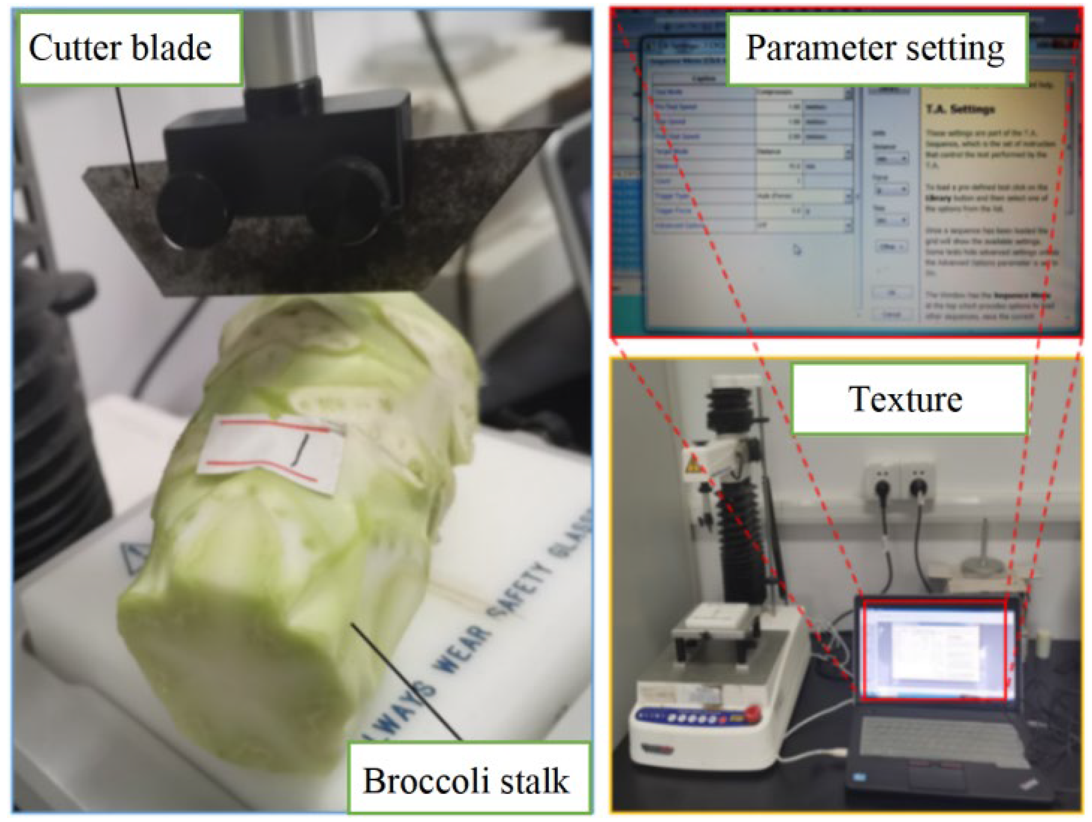 Agriculture 13 01267 g002 Agriculture 13 01267 g002