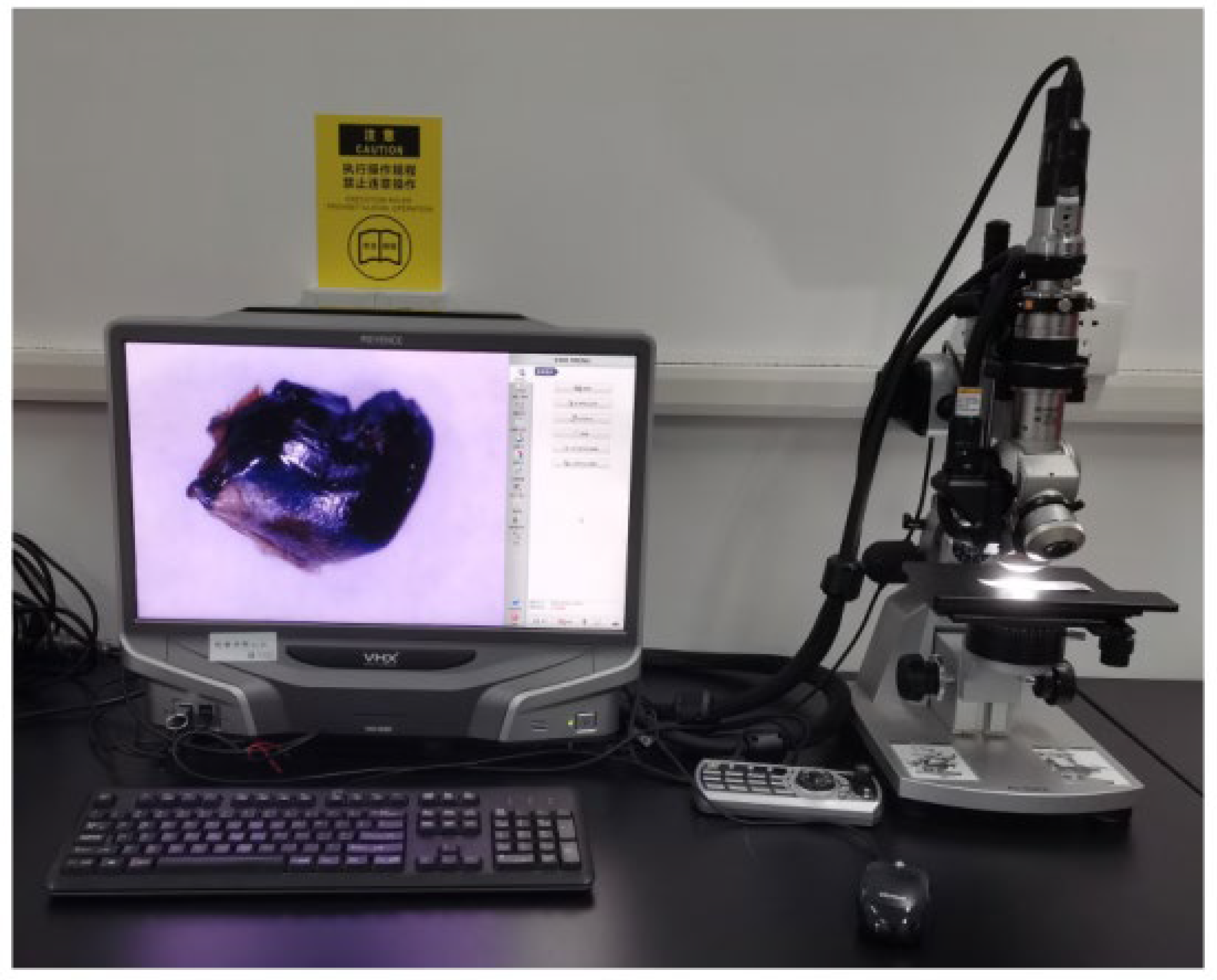 Agriculture 13 01267 g005 Agriculture 13 01267 g005