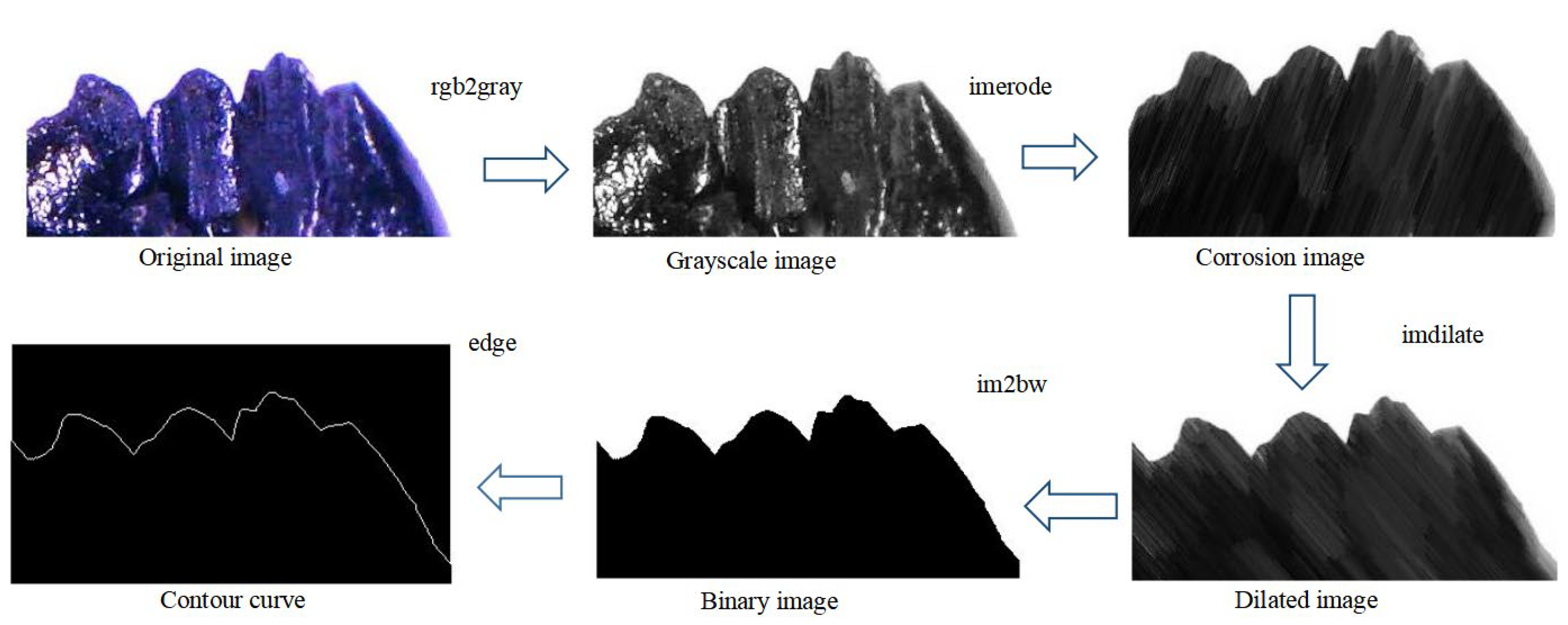 Agriculture 13 01267 g006 Agriculture 13 01267 g006