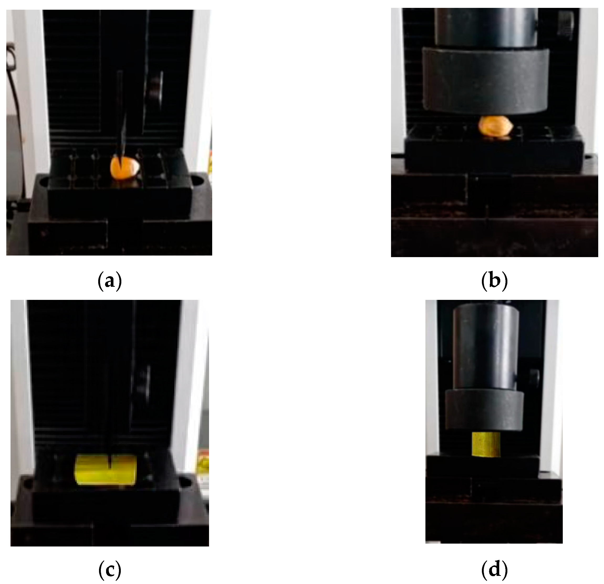 Agriculture 13 01276 g009 Agriculture 13 01276 g009