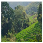 Agriculture 13 01283 i003 Agriculture 13 01283 i003