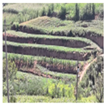 Agriculture 13 01283 i015 Agriculture 13 01283 i015