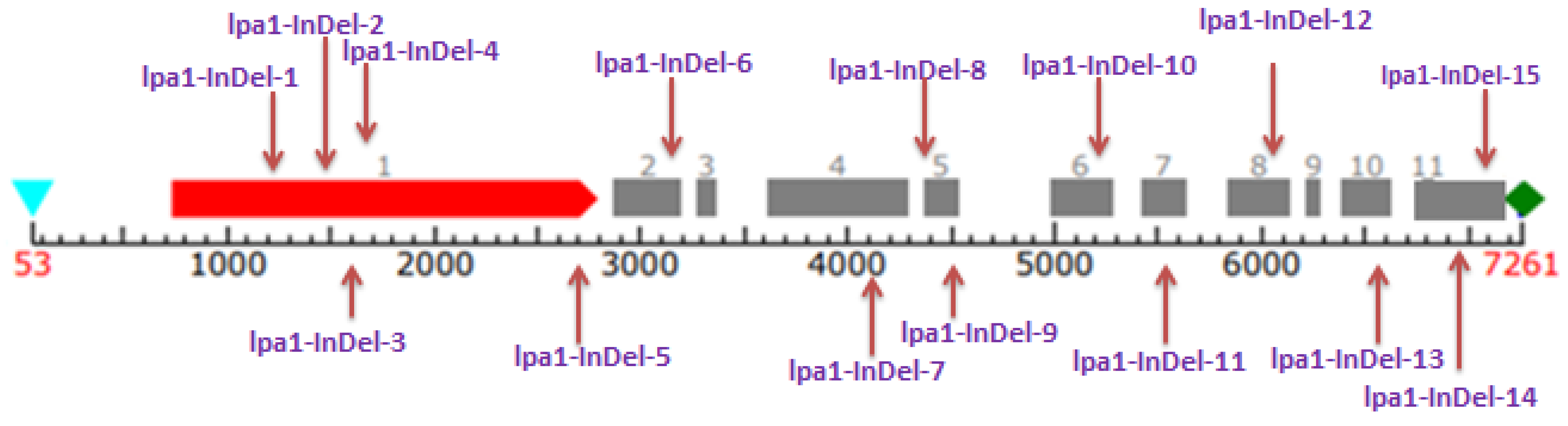 Agriculture 13 01286 g001 Agriculture 13 01286 g001