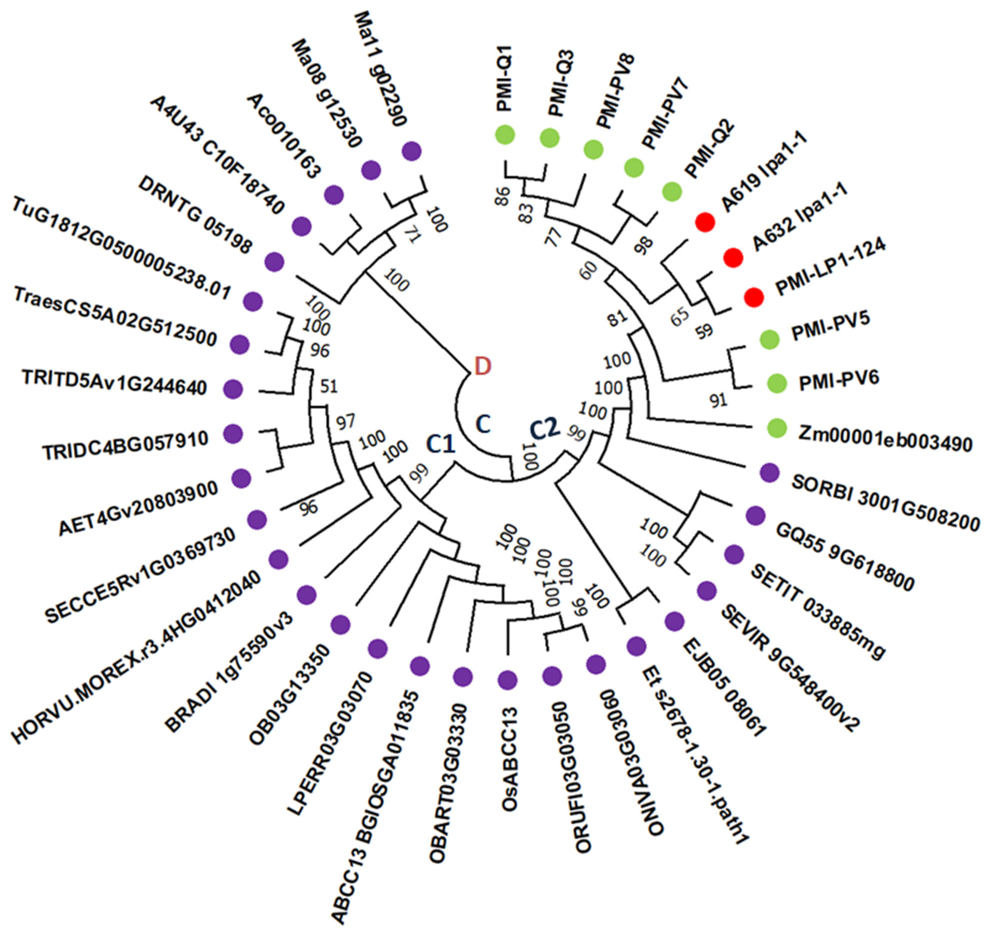 Agriculture 13 01286 g005 Agriculture 13 01286 g005