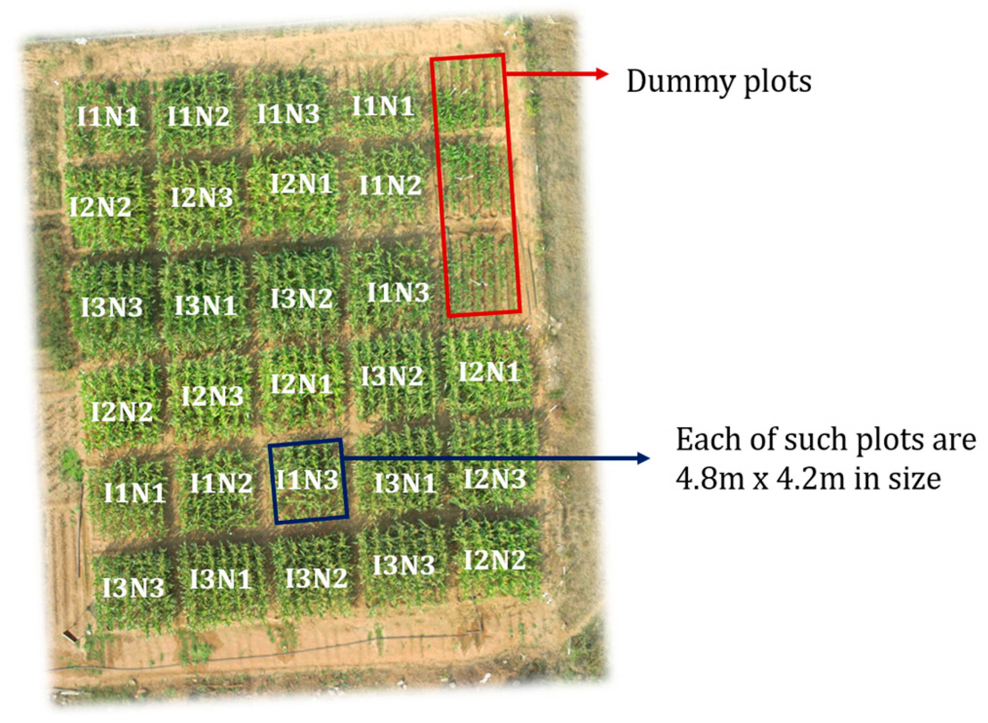 Agriculture 13 01292 g002 Agriculture 13 01292 g002
