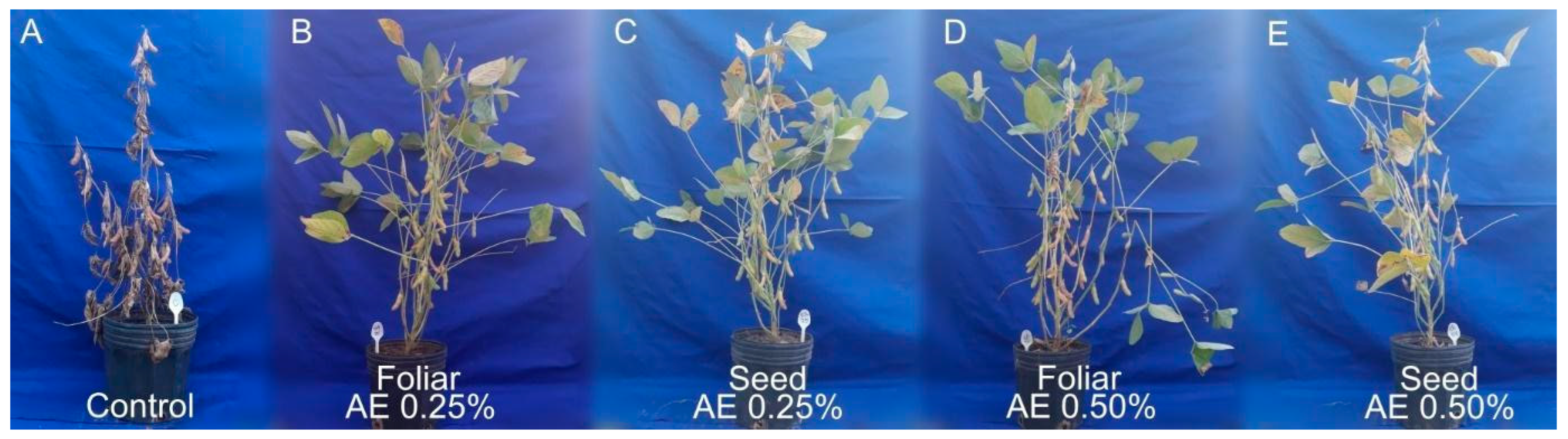 Agriculture 13 01296 g001 Agriculture 13 01296 g001