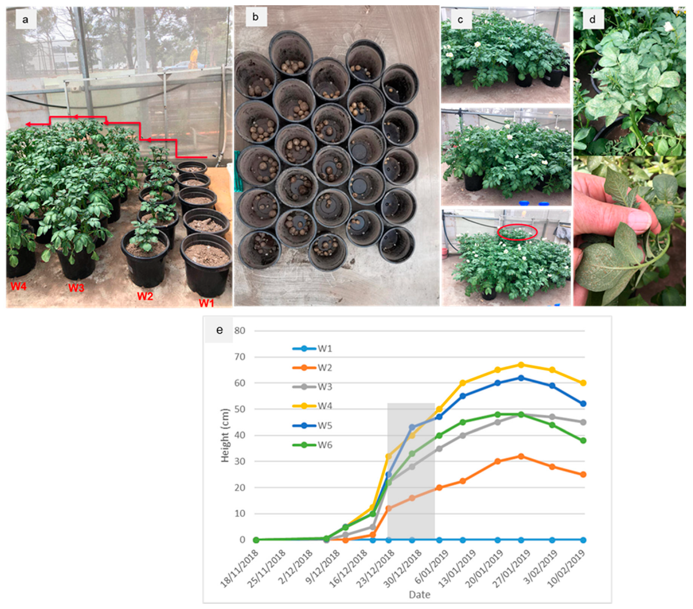 Agriculture 13 01297 g004