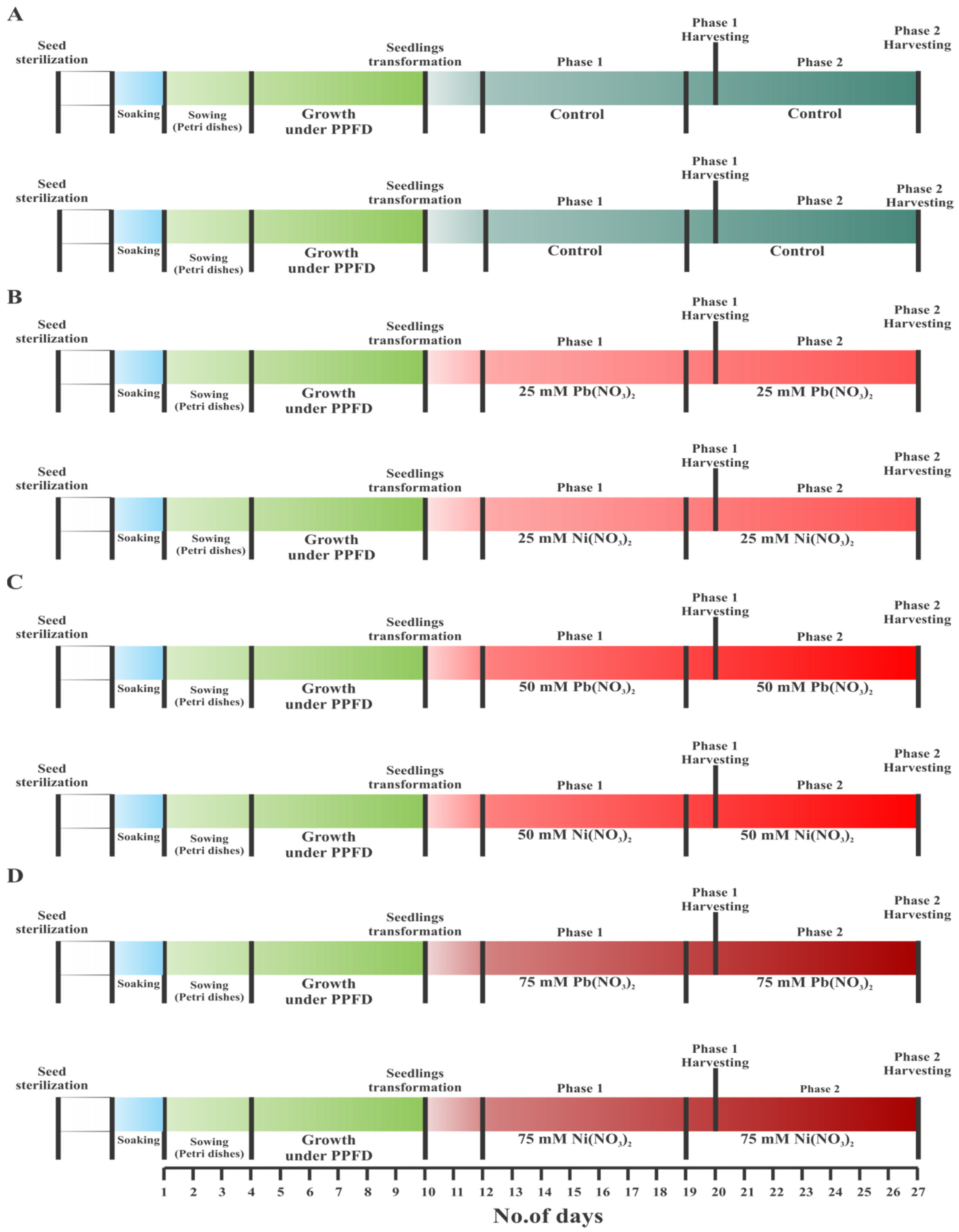 Agriculture 13 01302 g001