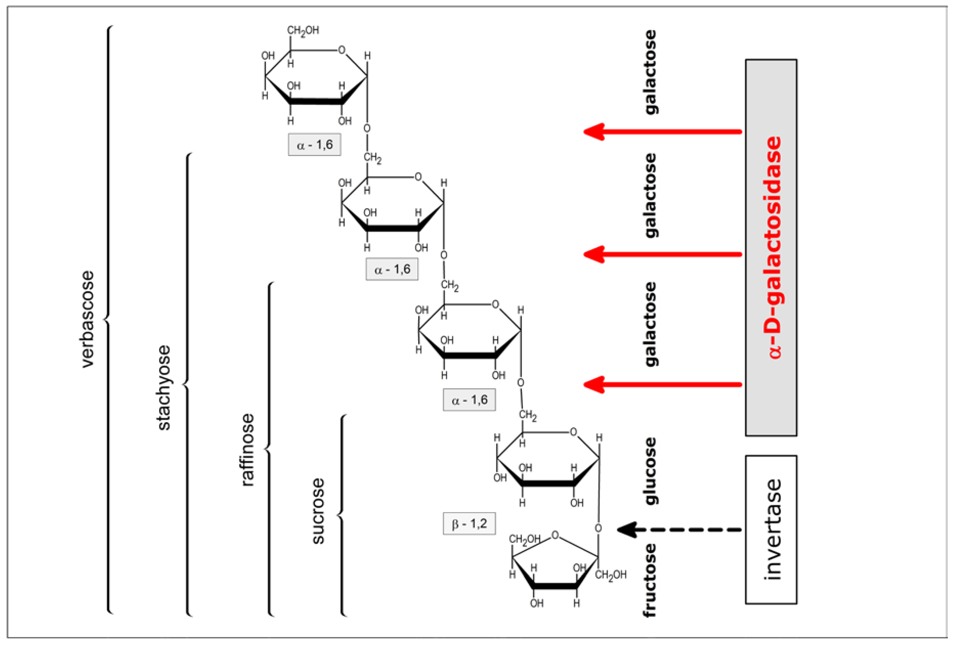 Agriculture 13 01306 g004