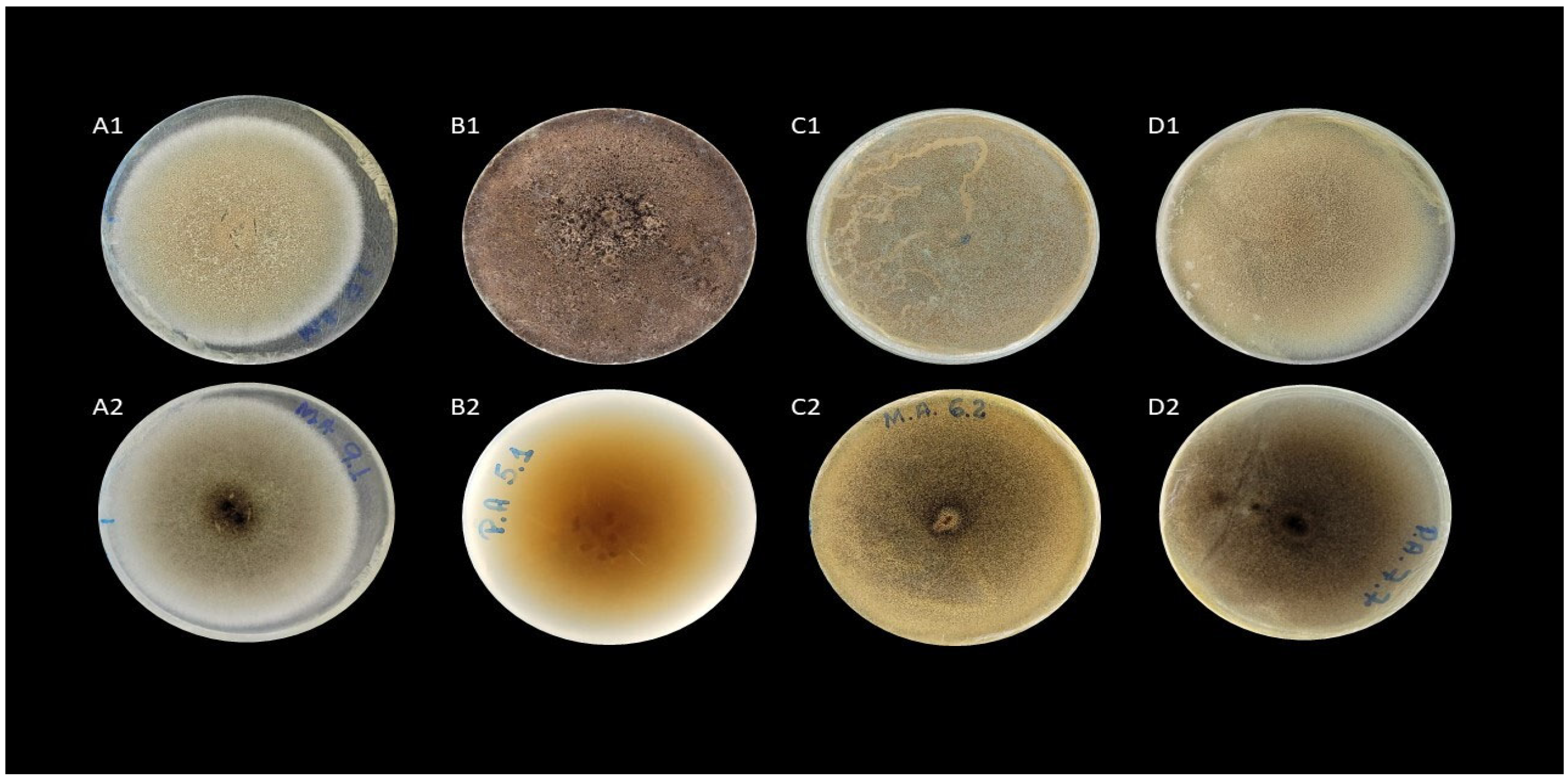 Agriculture 13 01308 g002