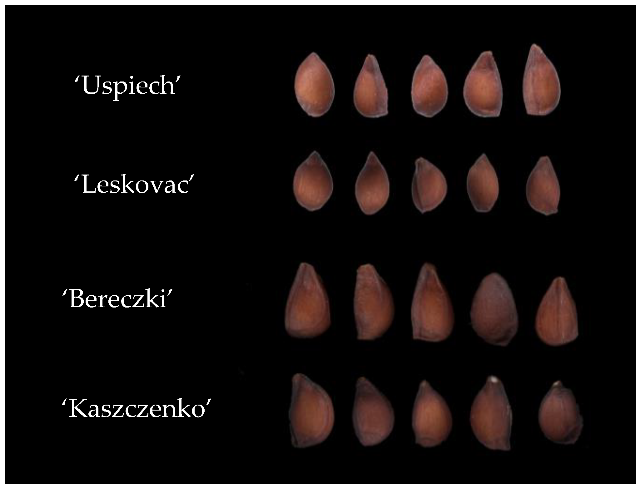 Agriculture 13 01310 g001 550