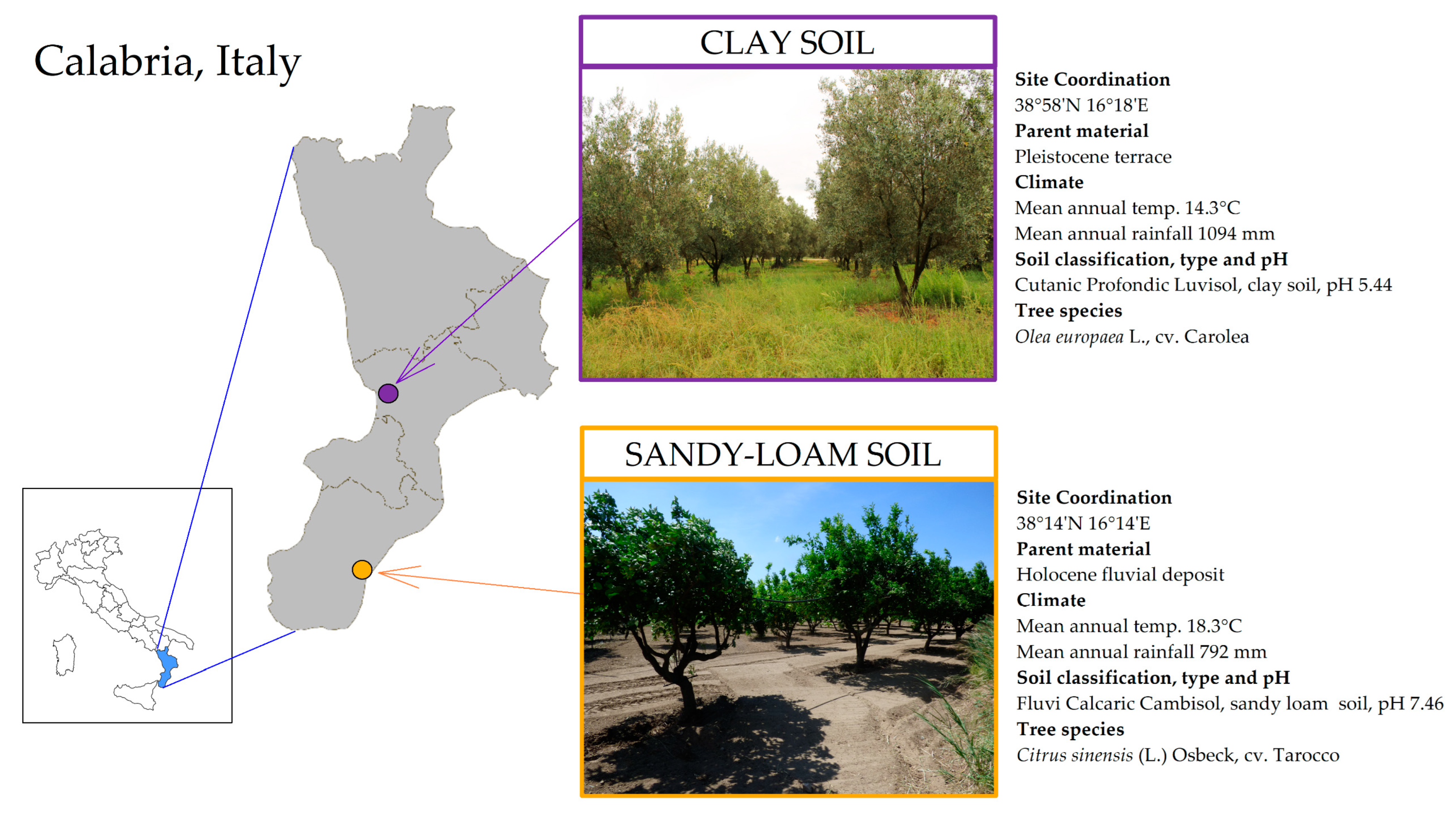 Agriculture 13 01311 g001