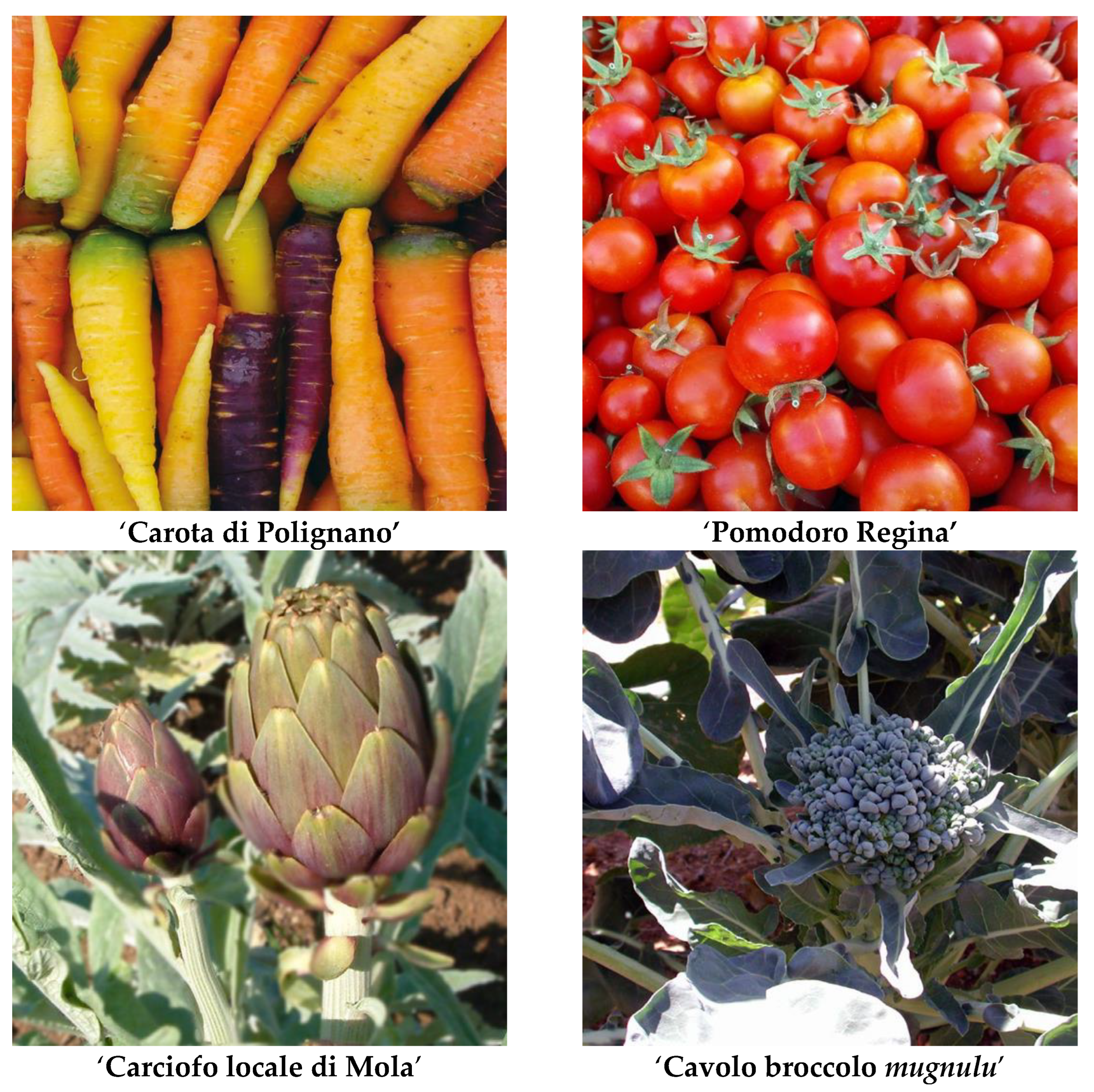 Agriculture 13 01313 g005 Agriculture 13 01313 g005