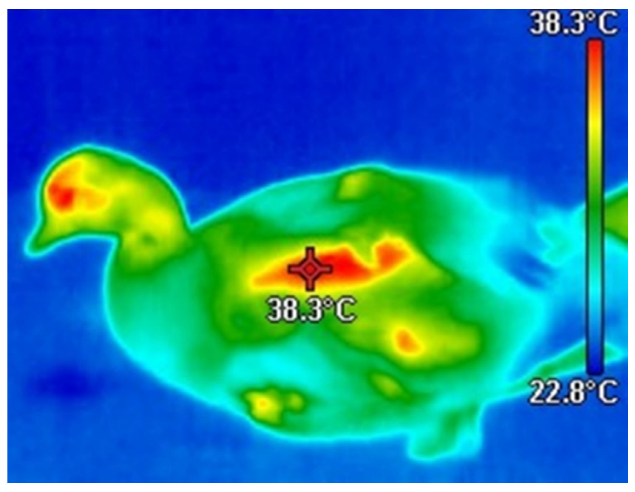 Agriculture 13 01319 g001 Agriculture 13 01319 g001