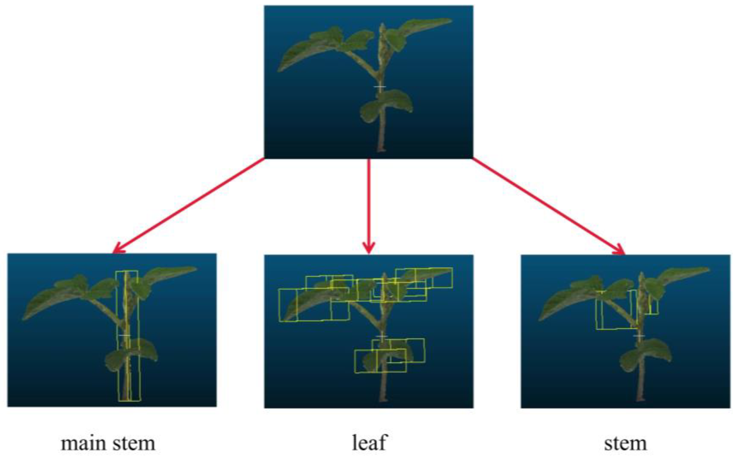 Agriculture 13 01321 g003