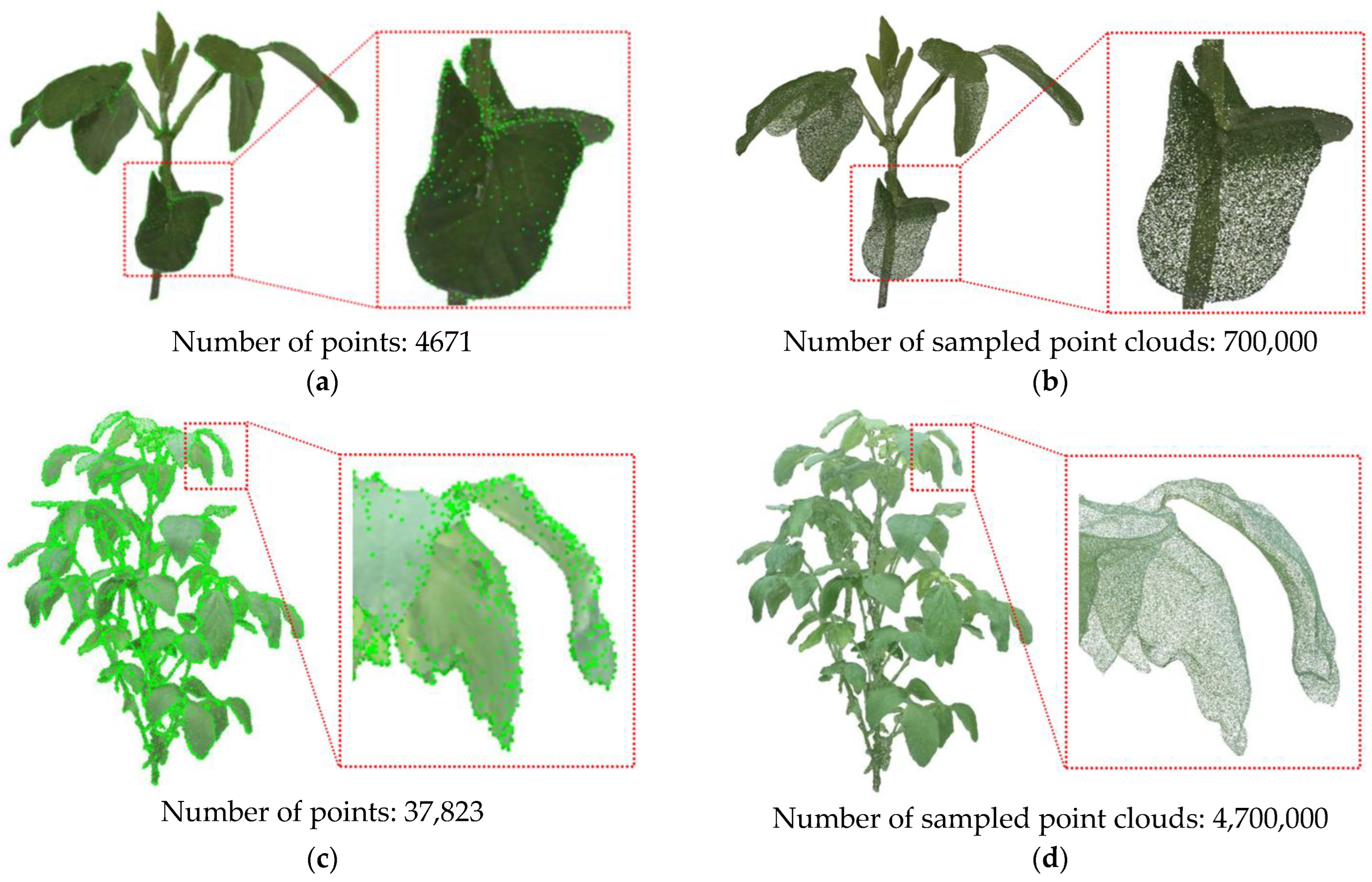 Agriculture 13 01321 g006