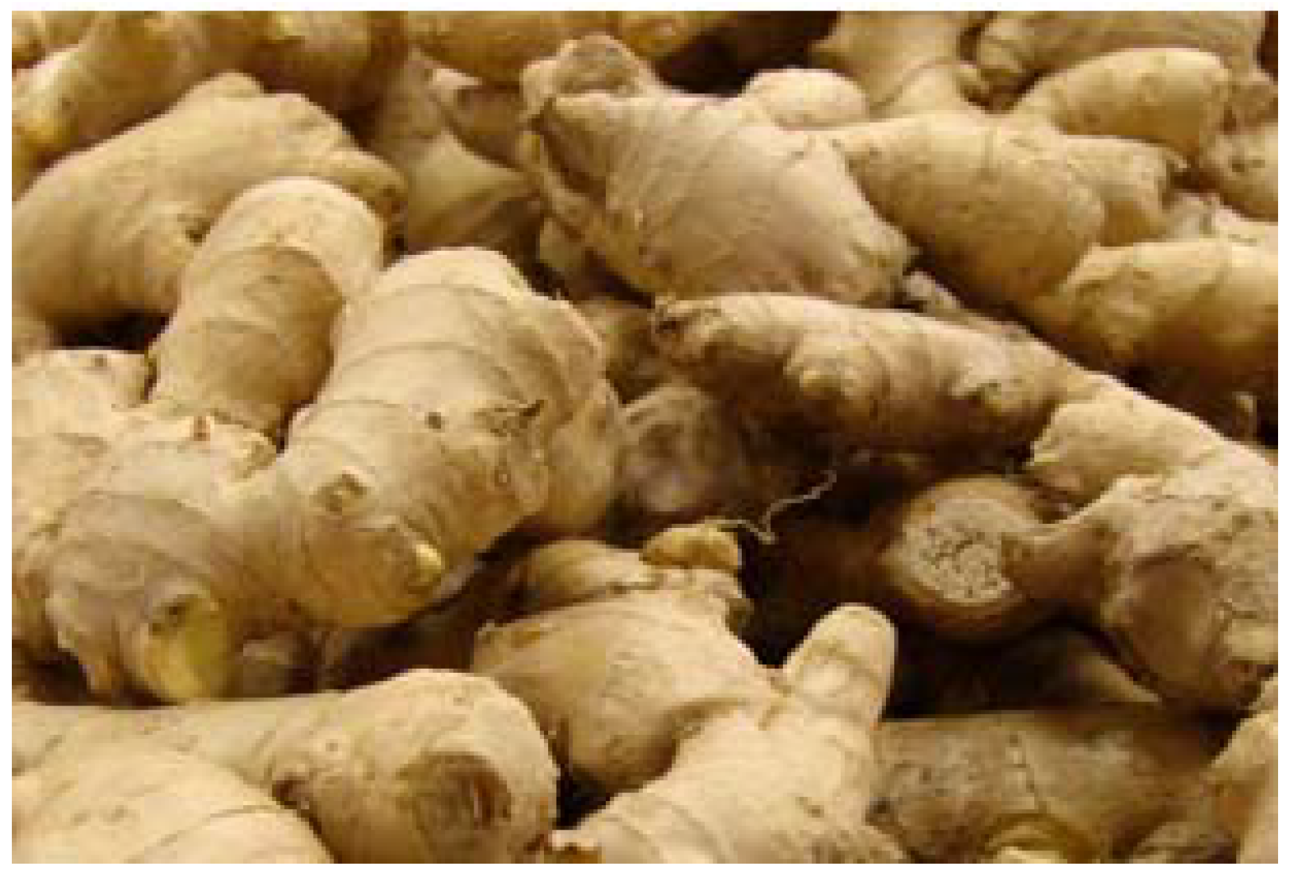 Agriculture 13 01322 g001 Agriculture 13 01322 g001