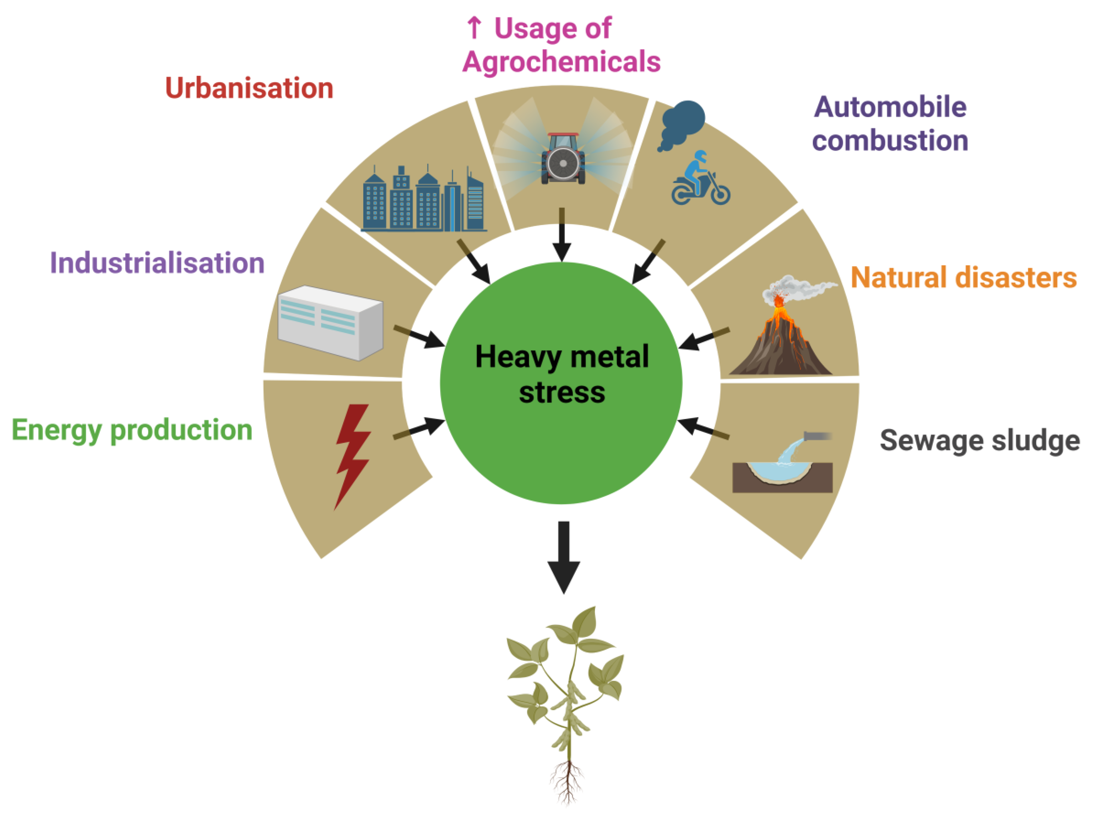 Agriculture 13 01325 g001 Agriculture 13 01325 g001