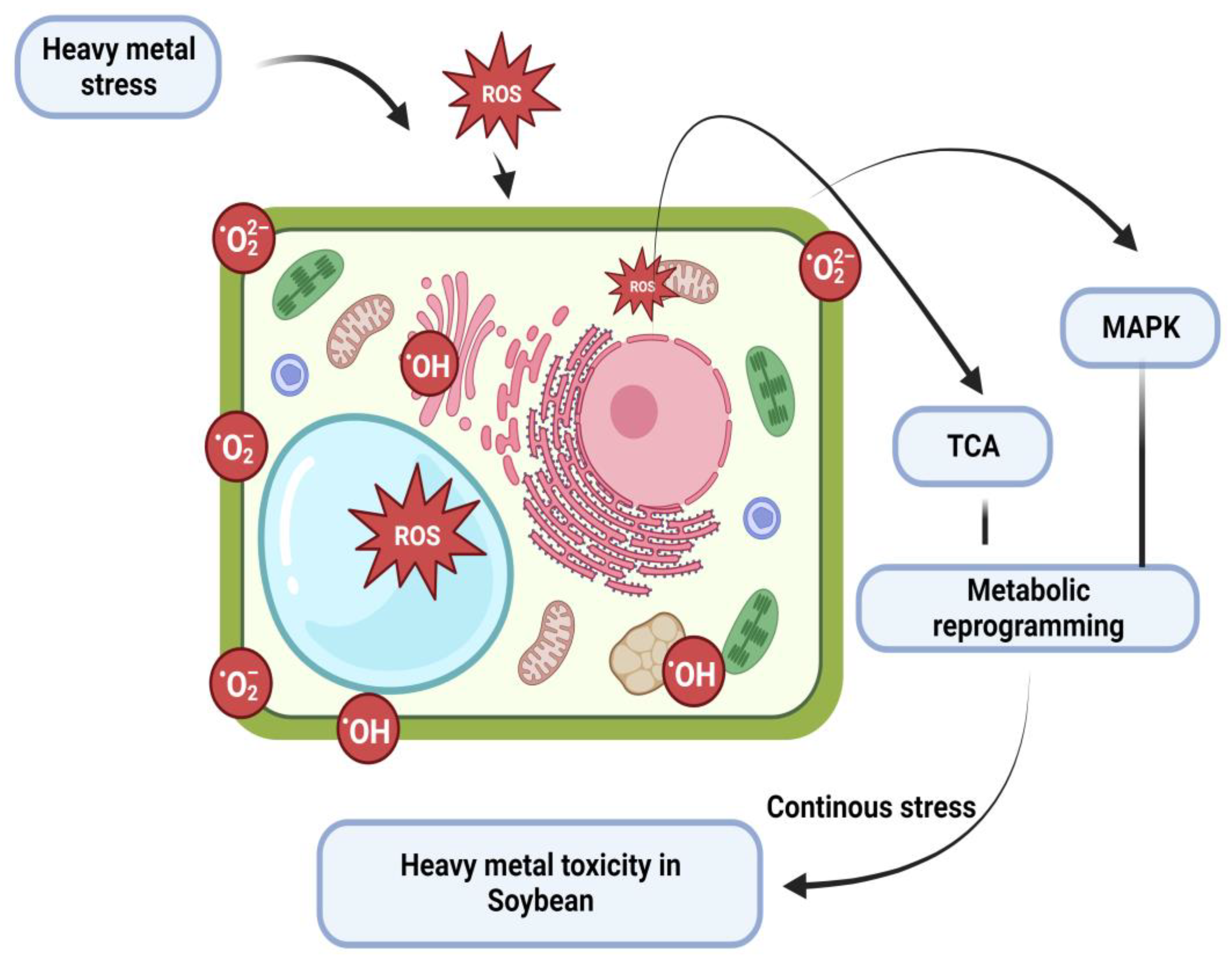 Agriculture 13 01325 g002 Agriculture 13 01325 g002