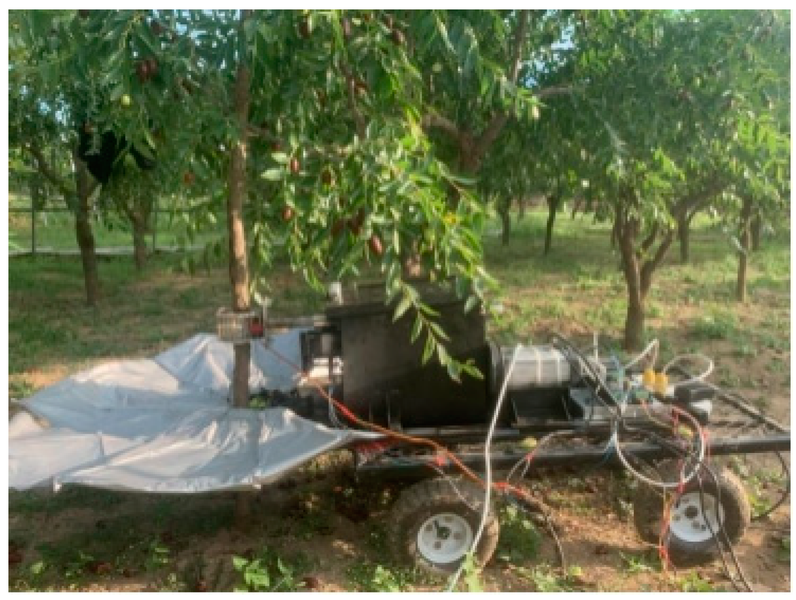 Agriculture 13 01334 g010 Agriculture 13 01334 g010