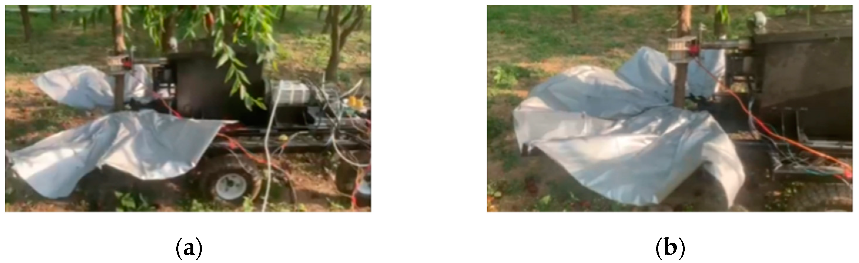 Agriculture 13 01334 g011 Agriculture 13 01334 g011