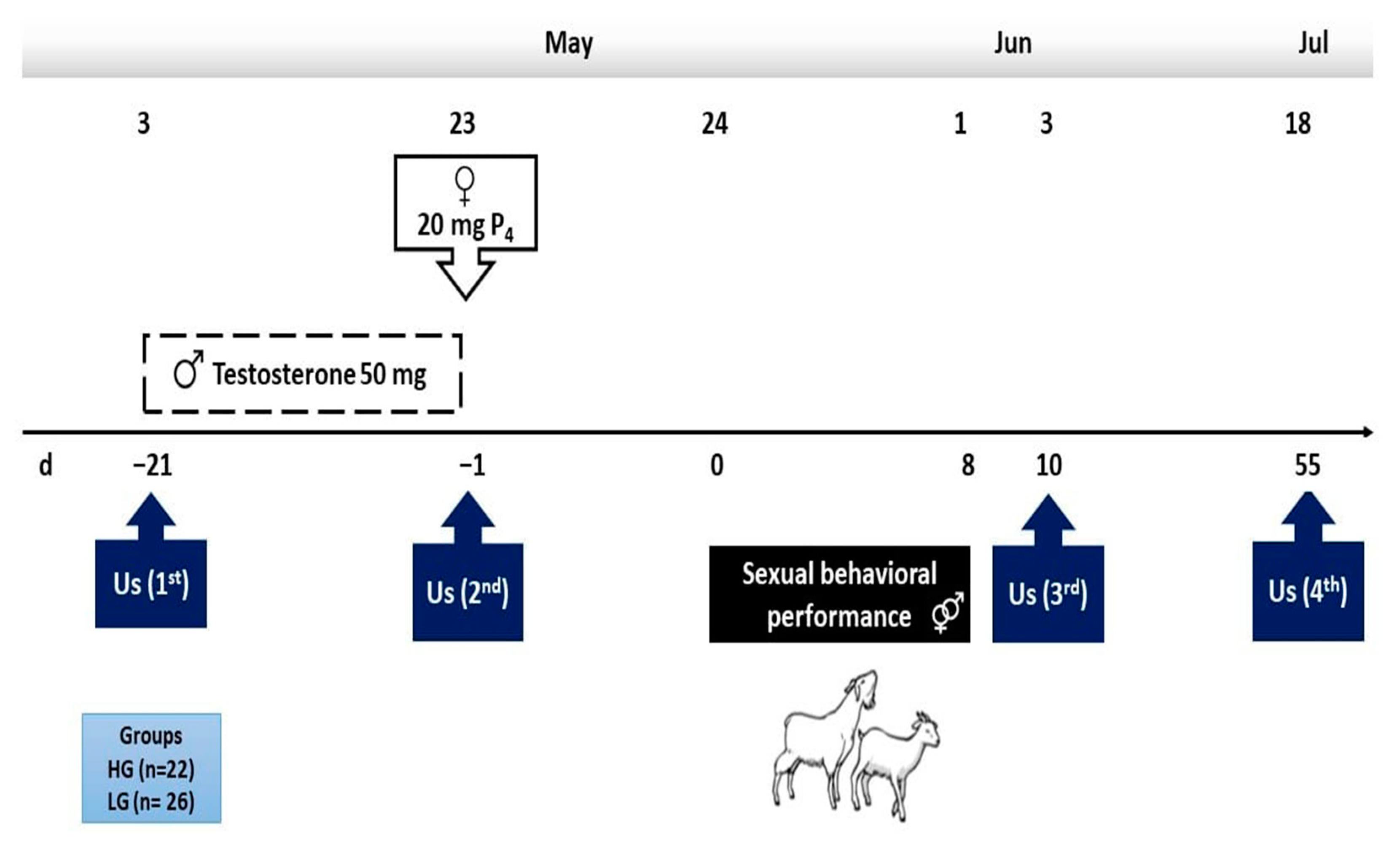 Agriculture 13 01337 g001