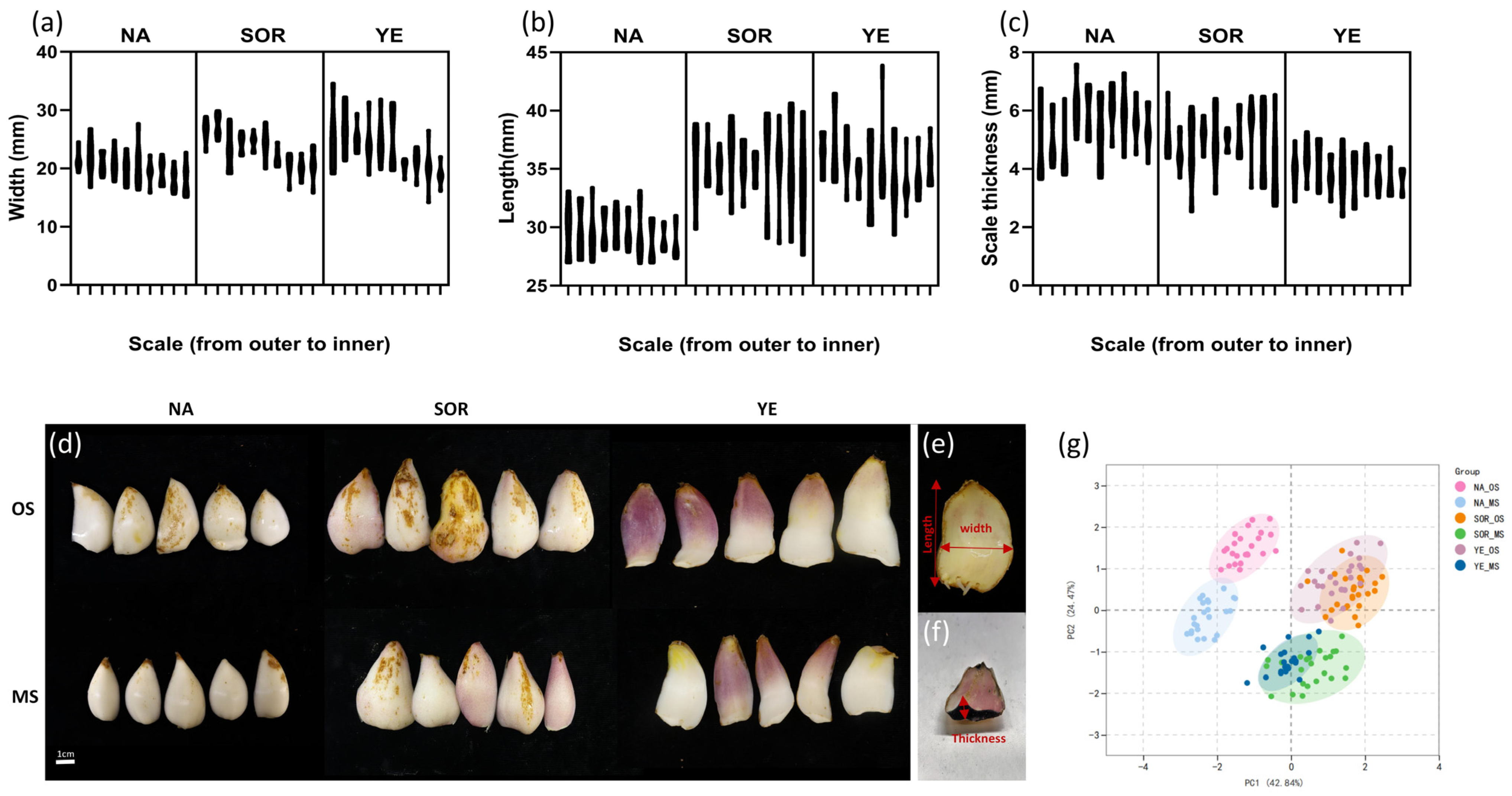 Agriculture 13 01341 g001 Agriculture 13 01341 g001
