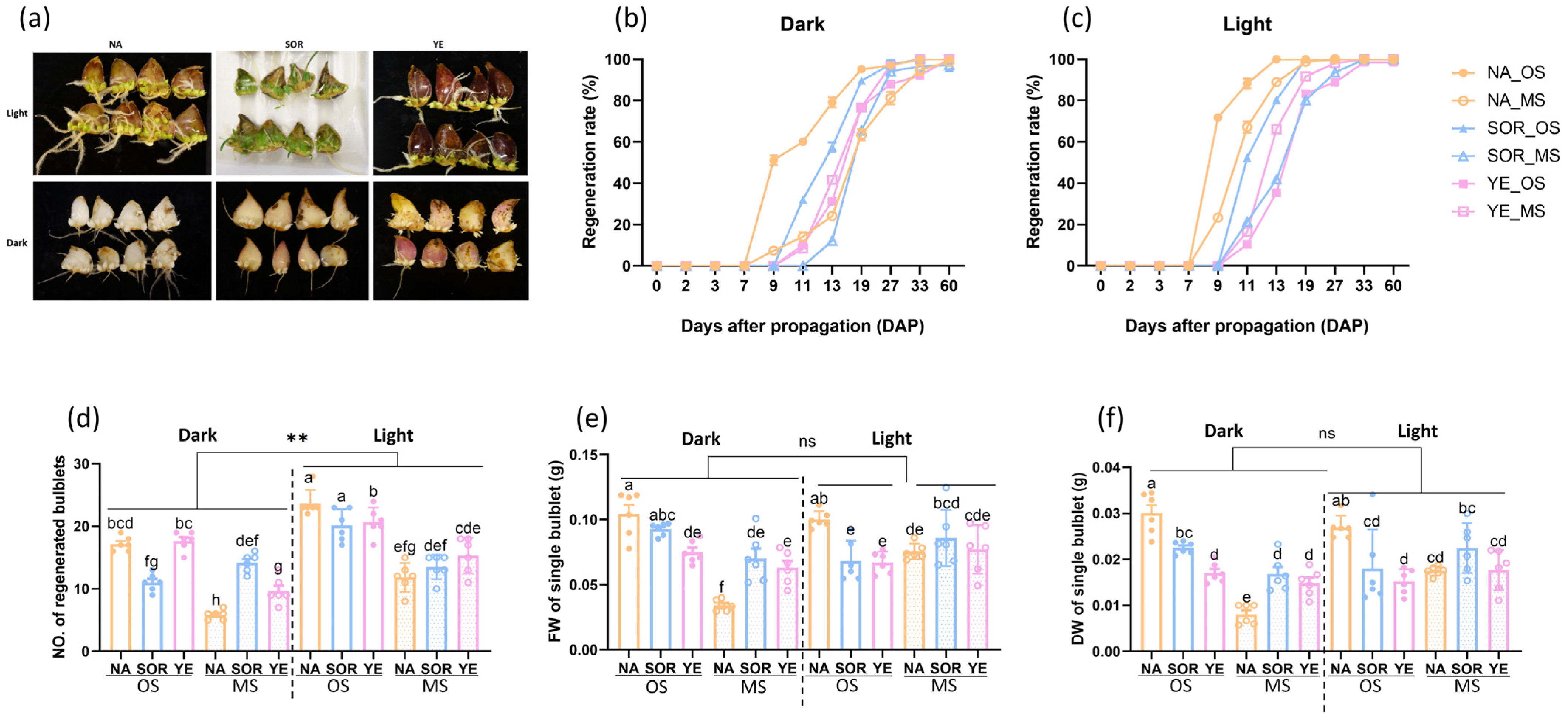 Agriculture 13 01341 g002 Agriculture 13 01341 g002
