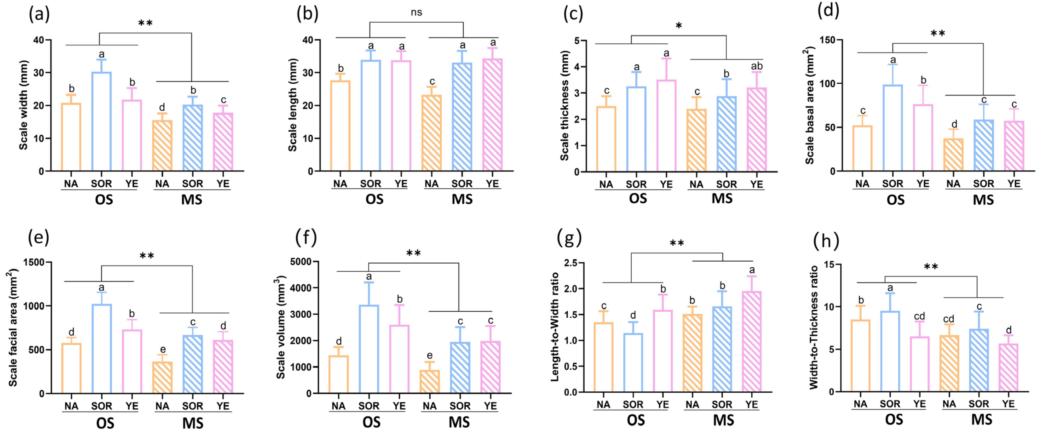 Agriculture 13 01341 g003 Agriculture 13 01341 g003