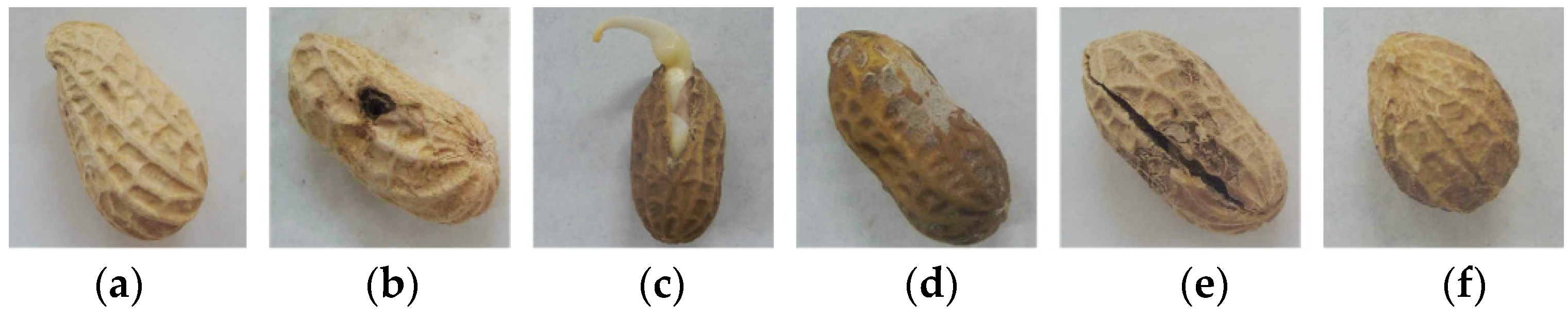 Agriculture 13 01352 g001