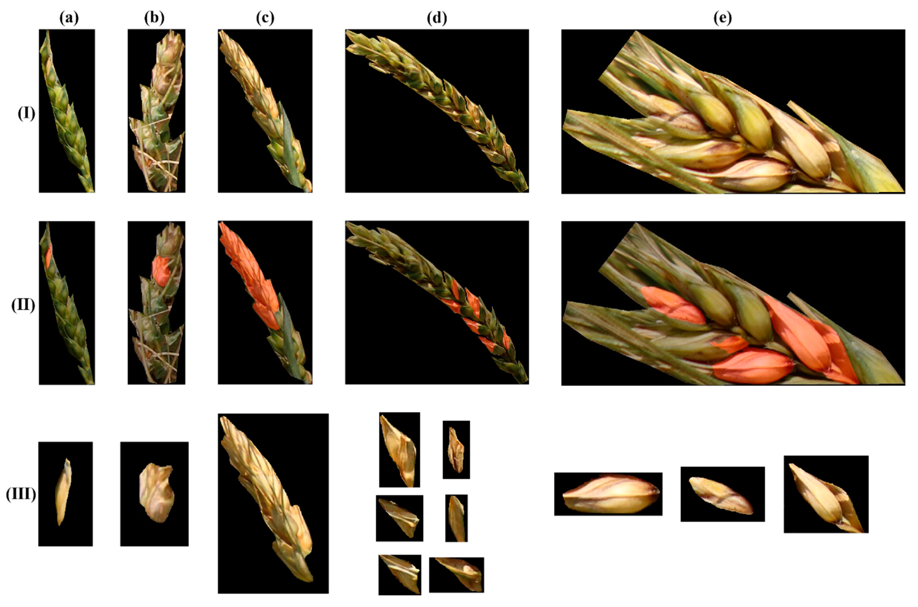 Agriculture 13 01381 g005 Agriculture 13 01381 g005