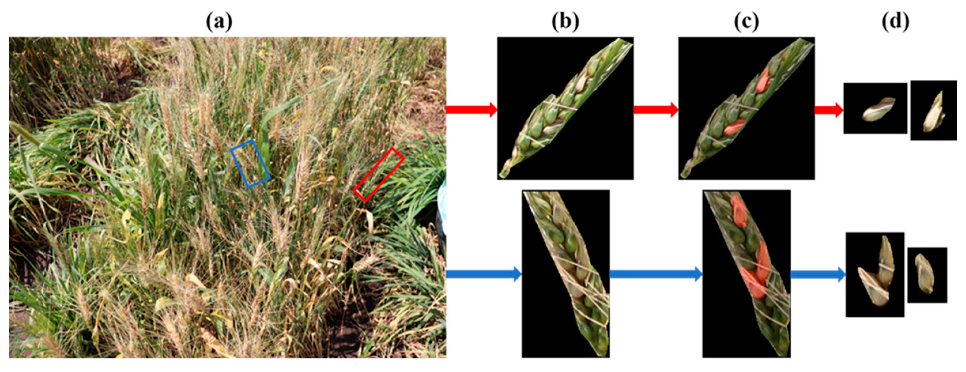 Agriculture 13 01381 g006 Agriculture 13 01381 g006