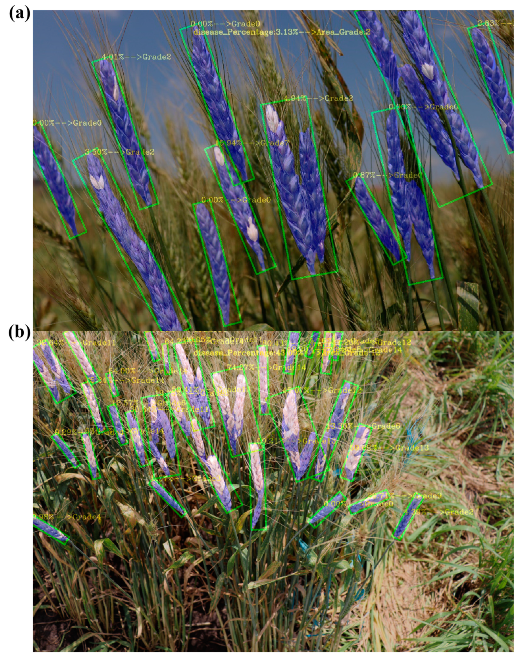 Agriculture 13 01381 g012 Agriculture 13 01381 g012