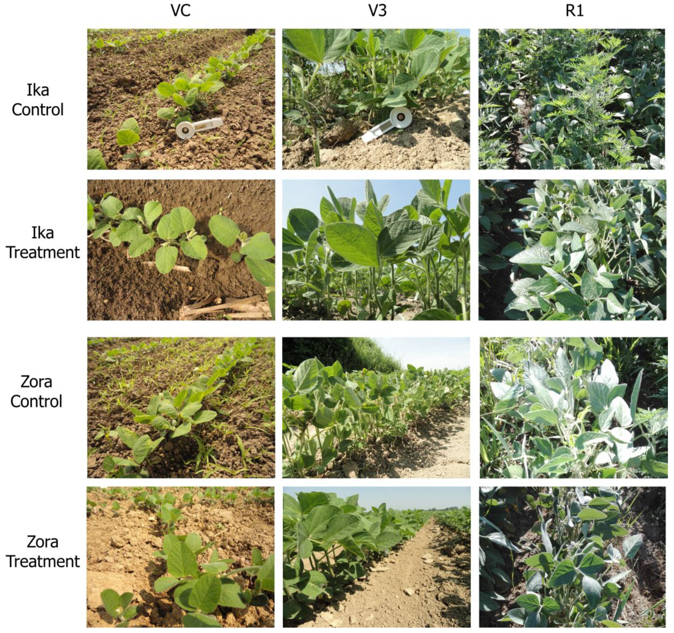 Agriculture 13 01385 g001 Agriculture 13 01385 g001