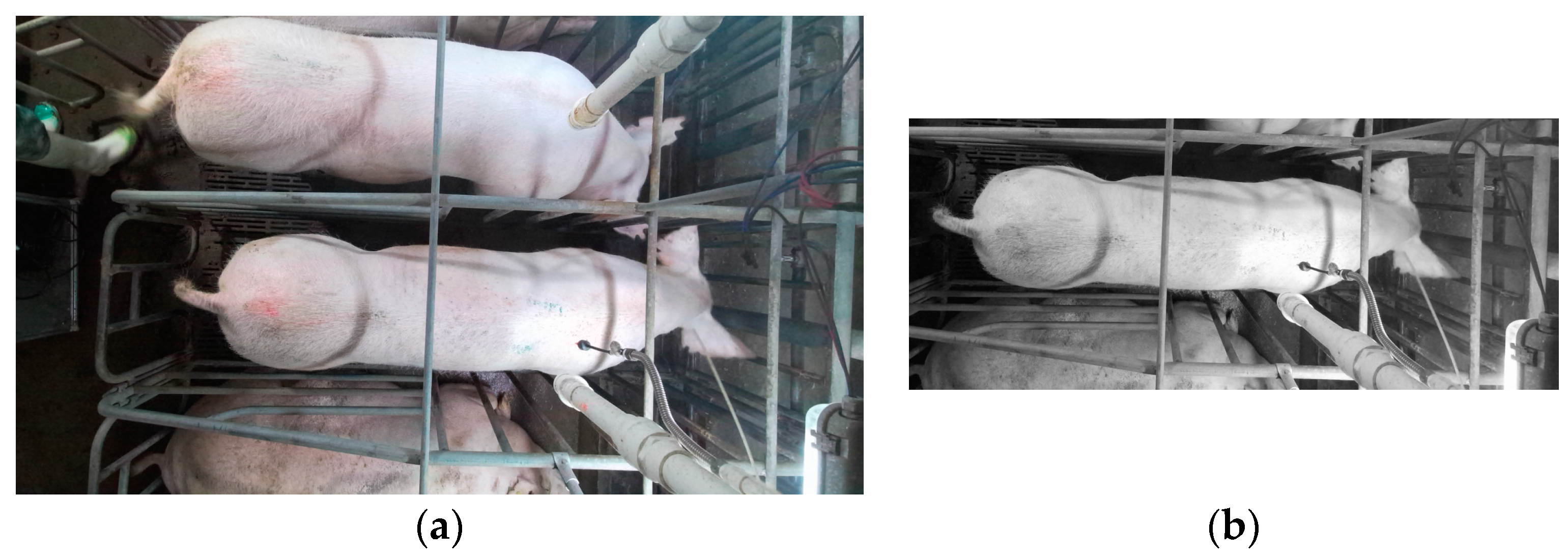 Agriculture 13 01395 g003 Agriculture 13 01395 g003