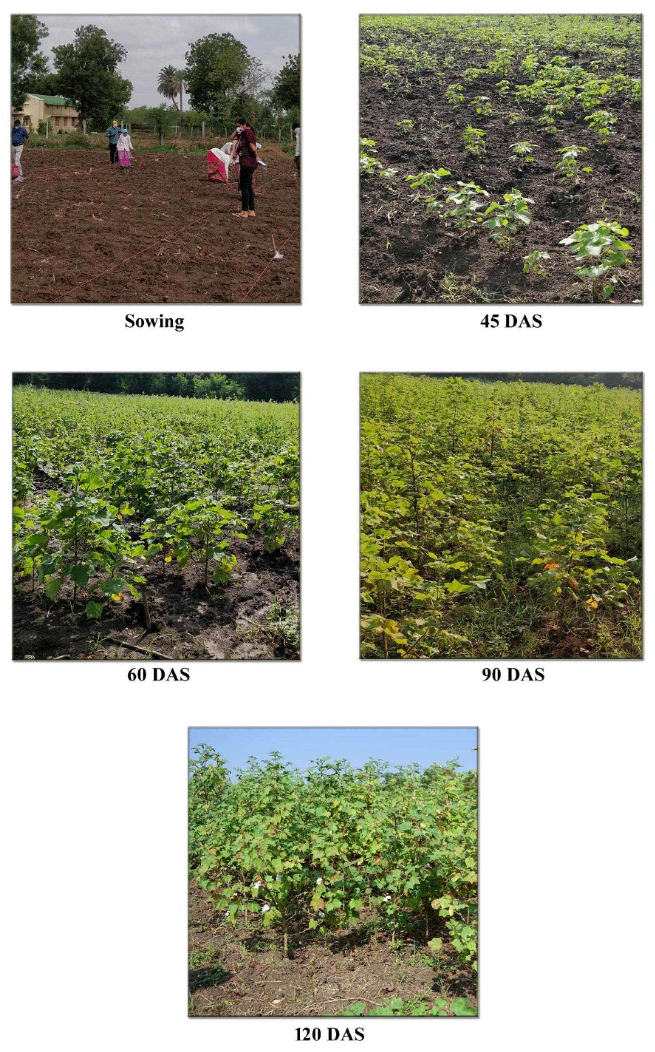 Agriculture 13 01402 g001