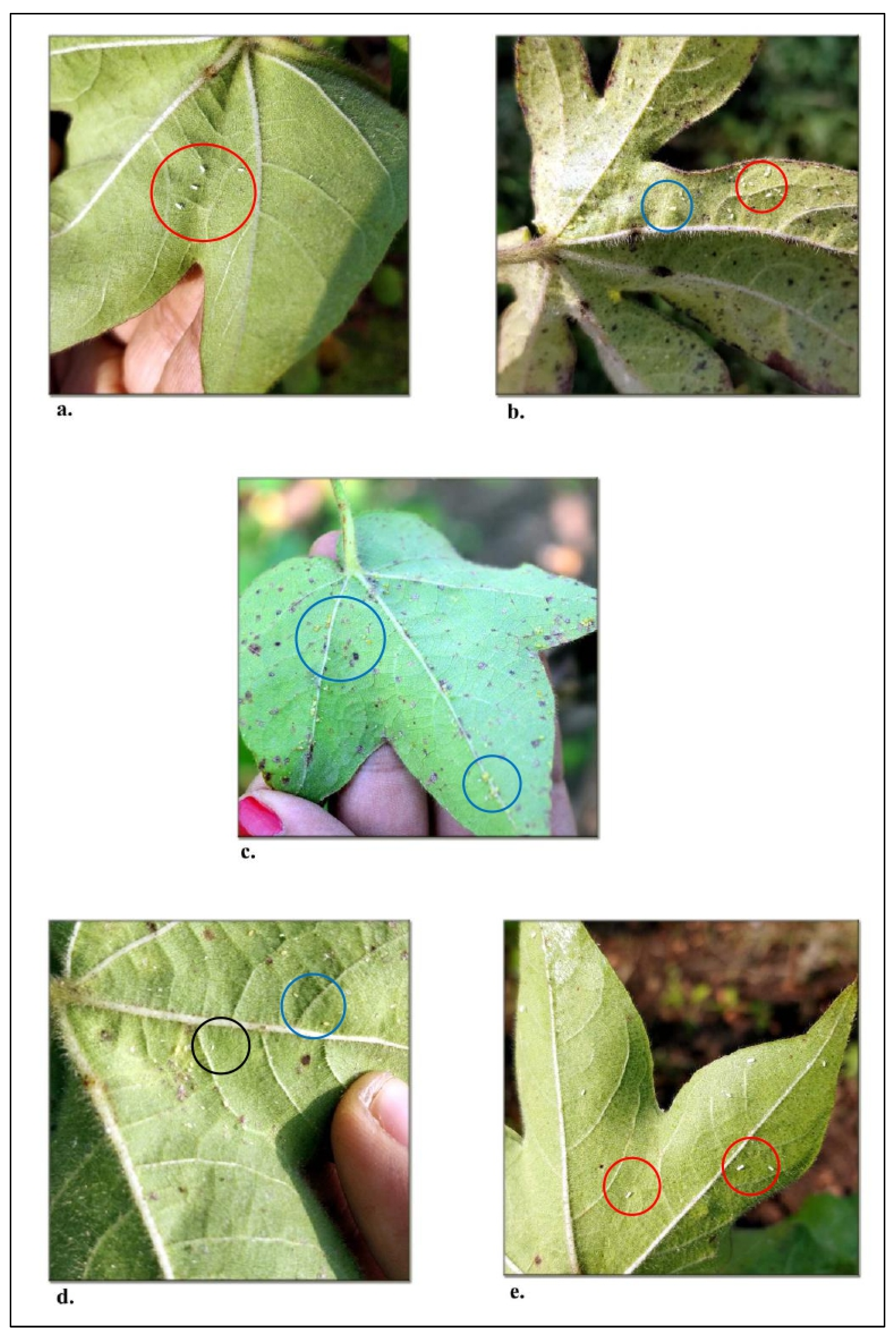 Agriculture 13 01402 g002