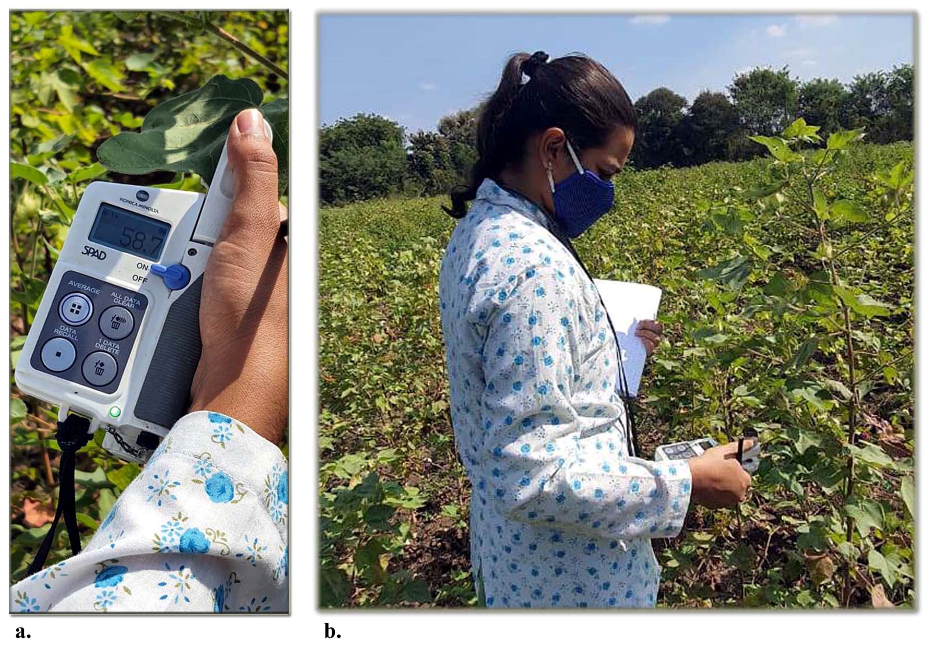 Agriculture 13 01402 g003