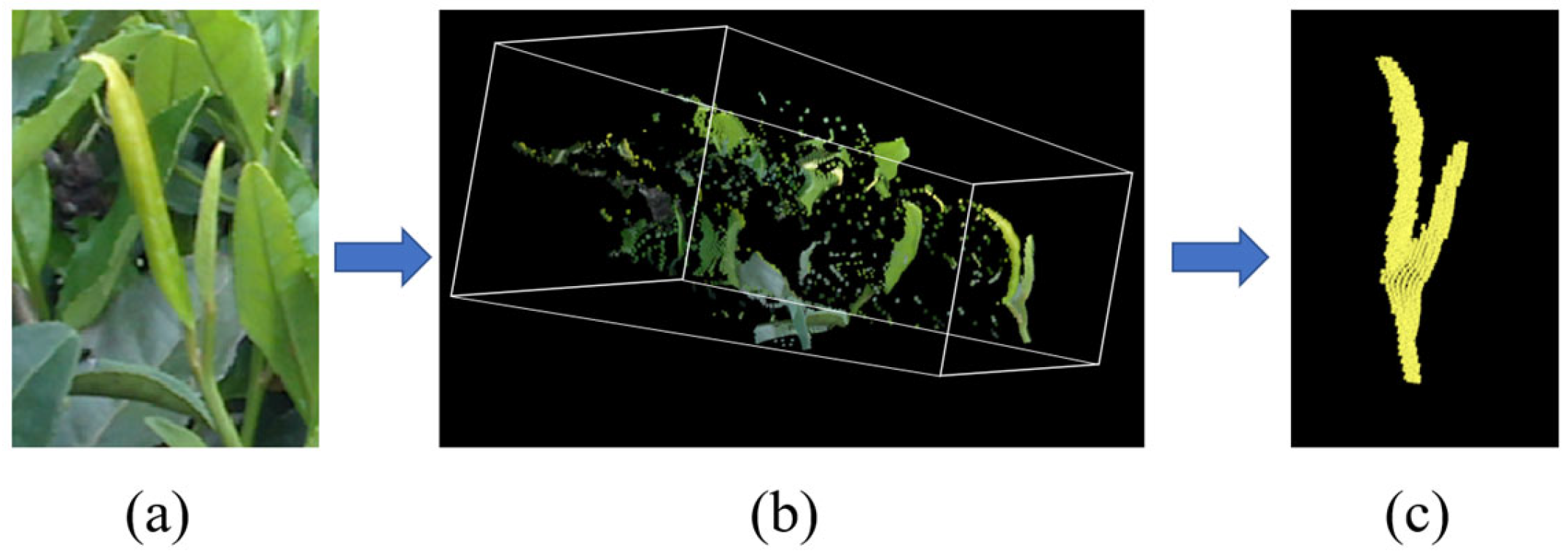 Agriculture 13 01405 g006