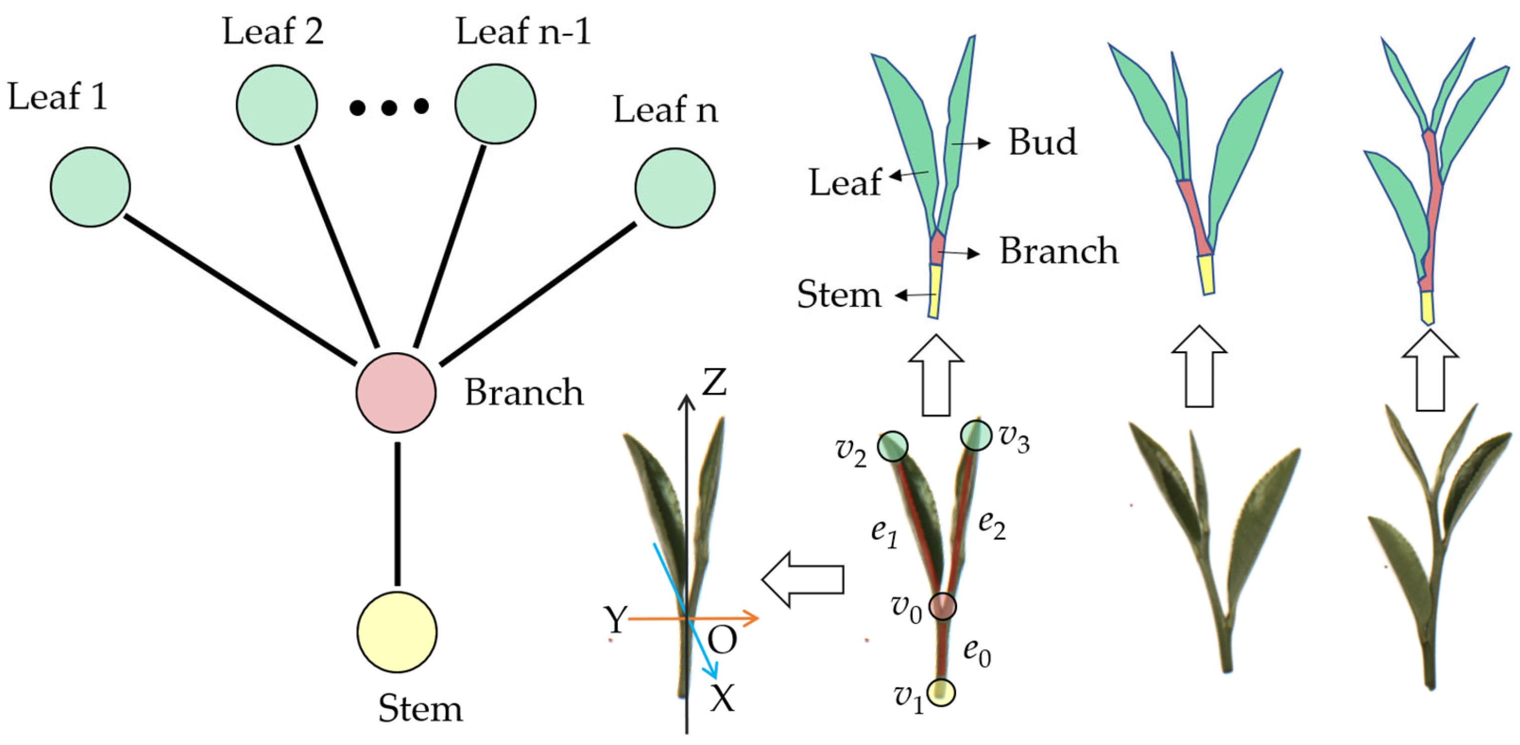 Agriculture 13 01405 g007
