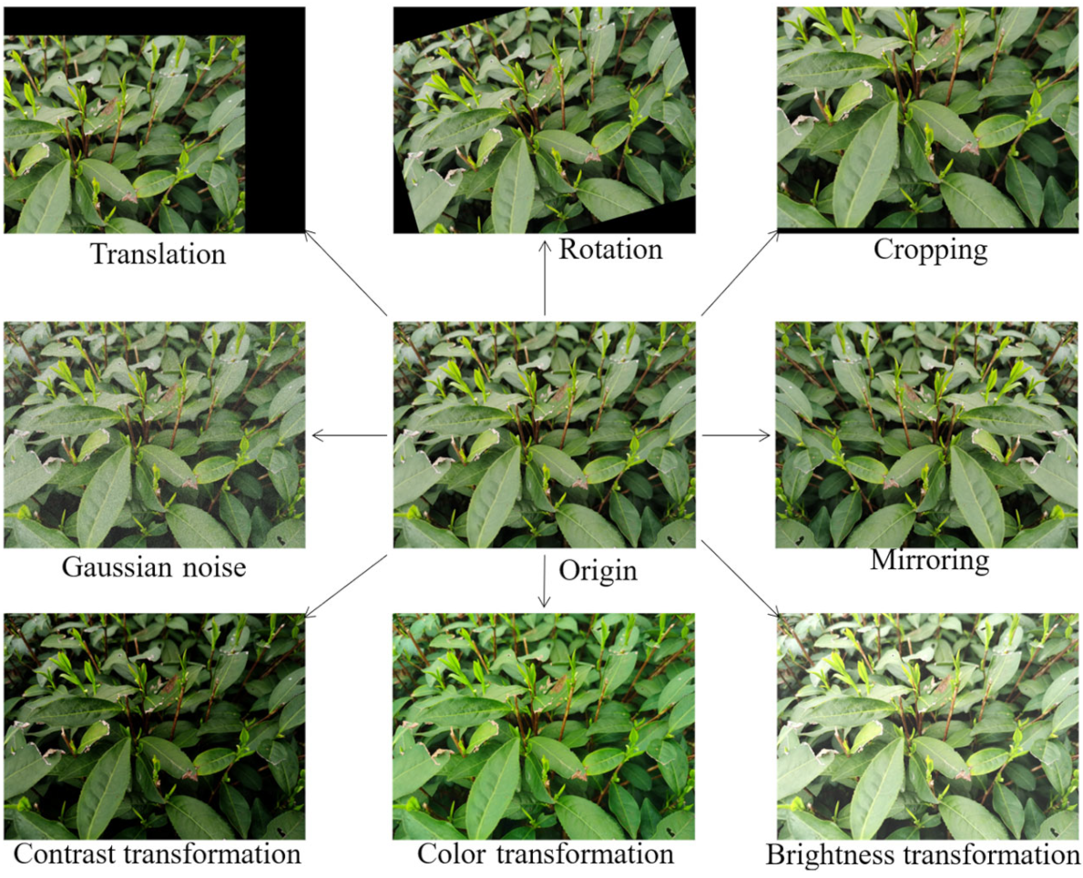 Agriculture 13 01405 g011