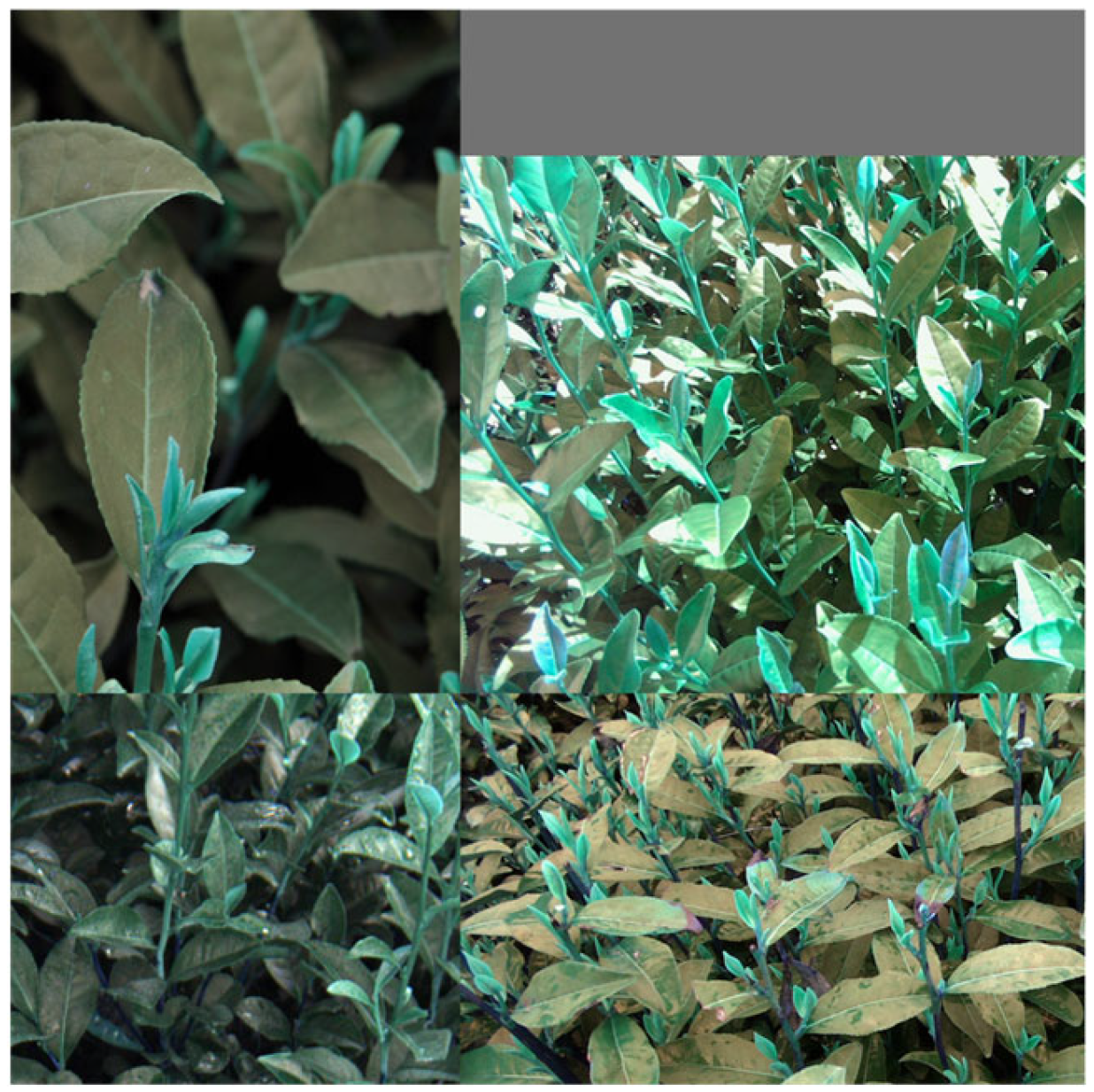 Agriculture 13 01405 g012