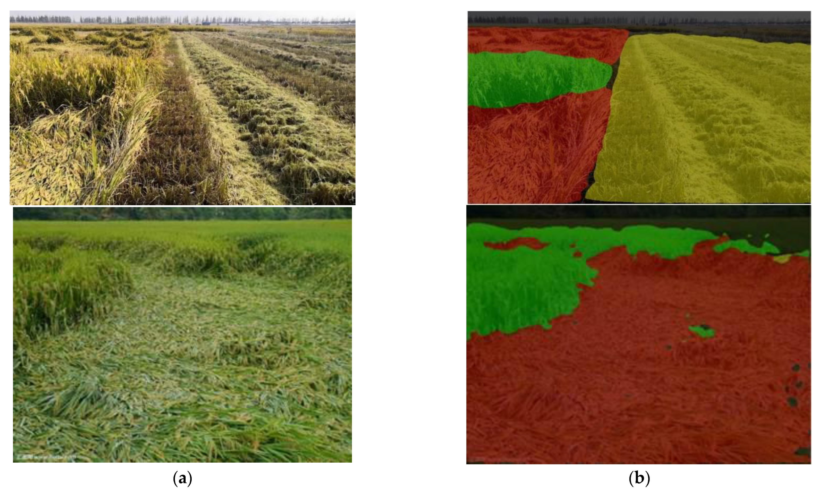 Agriculture 13 01425 g012