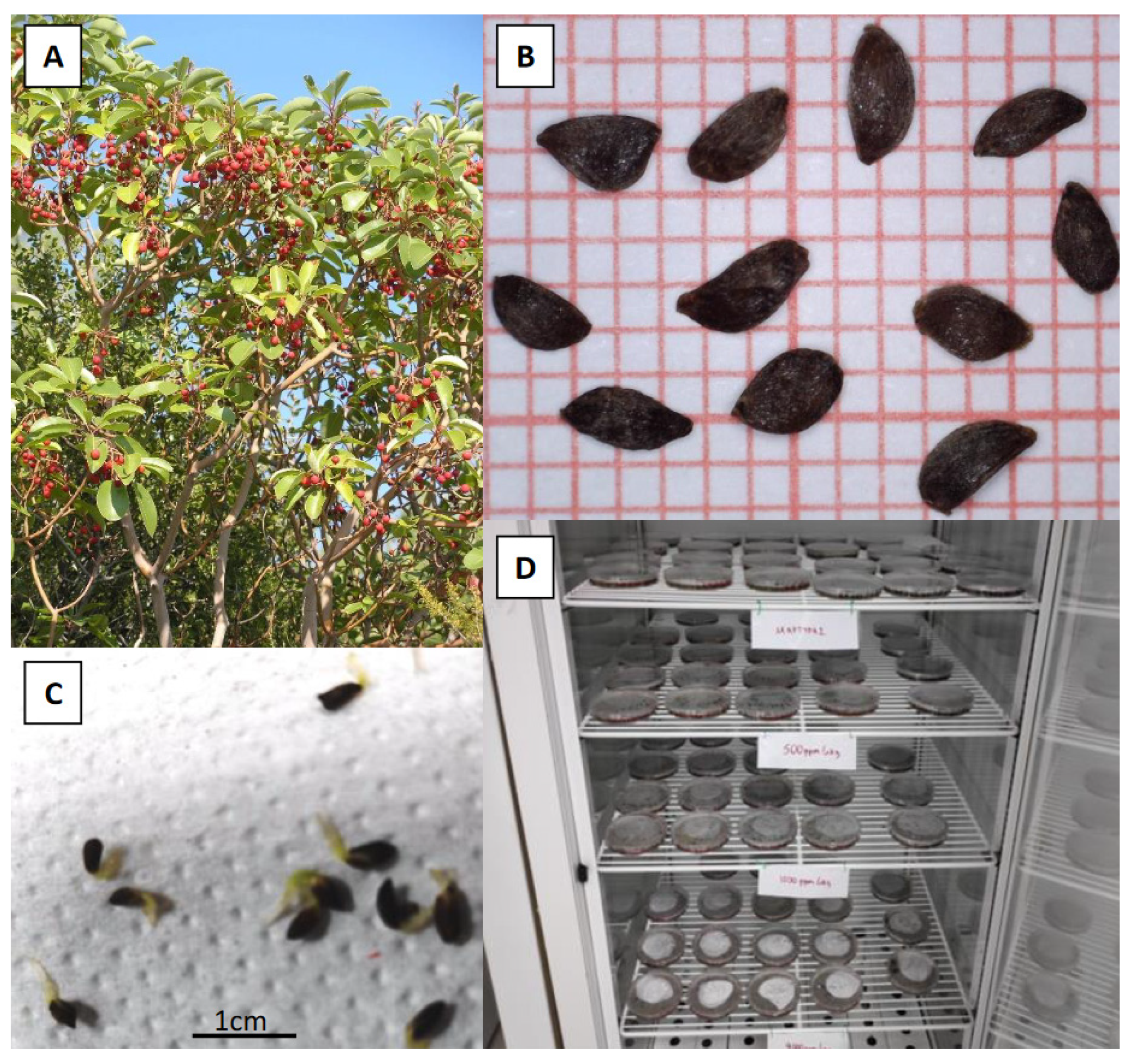 Agriculture 13 01428 g001